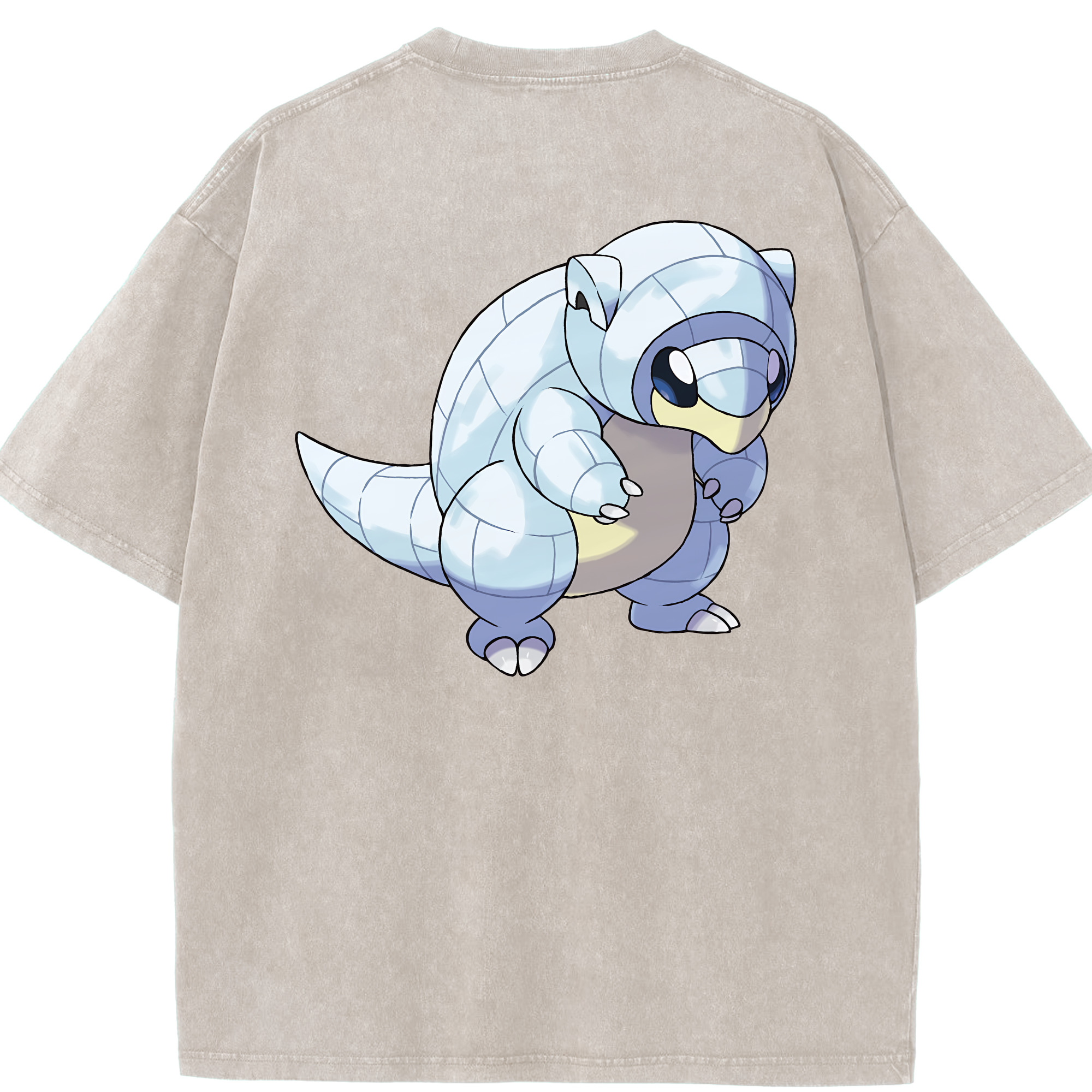 （画像用） ポケットモンスター Pokémon 綿100% ヴィンテージ風 半袖Tシャツ（背面プリント）