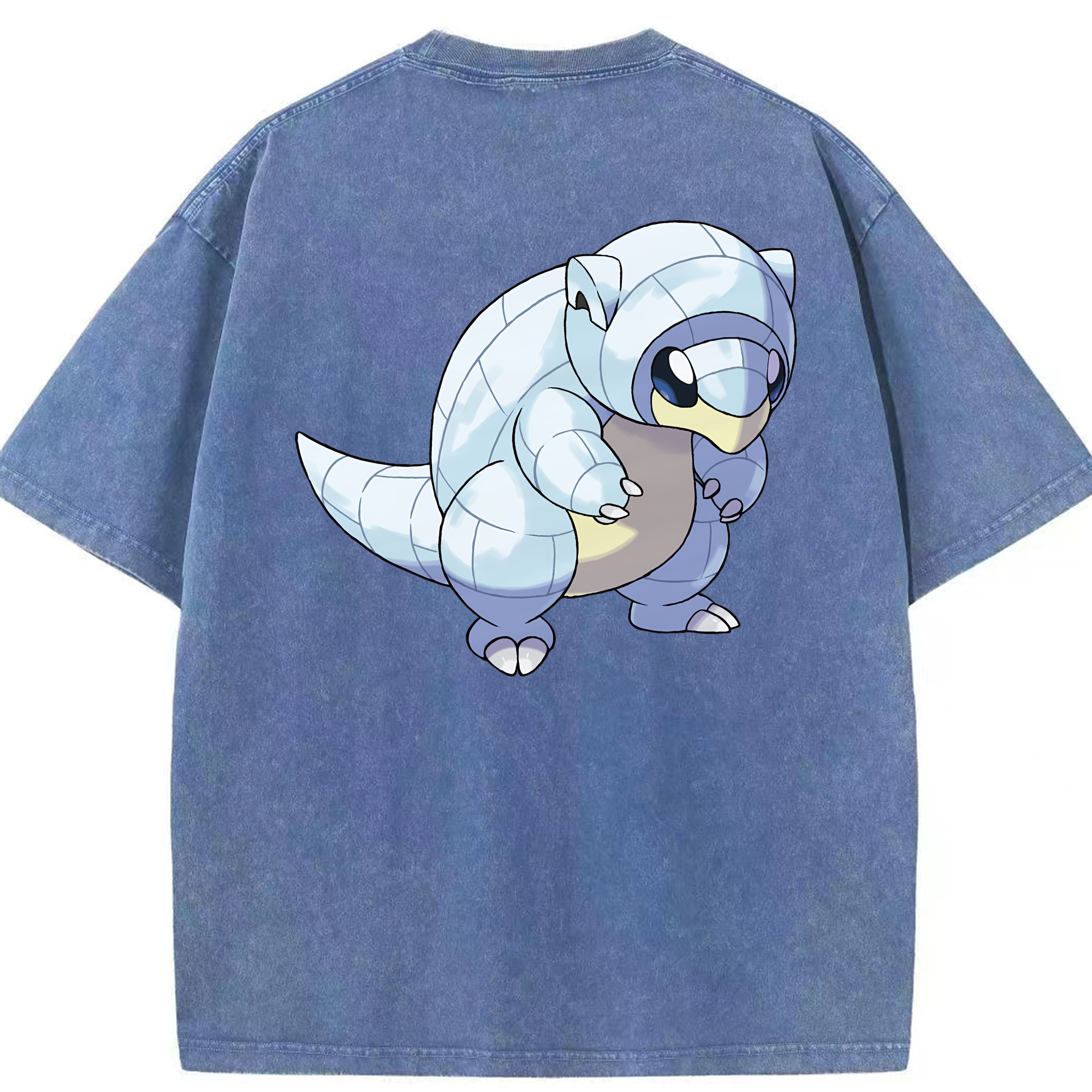 （画像用） ポケットモンスター Pokémon 綿100% ヴィンテージ風 半袖Tシャツ（背面プリント）