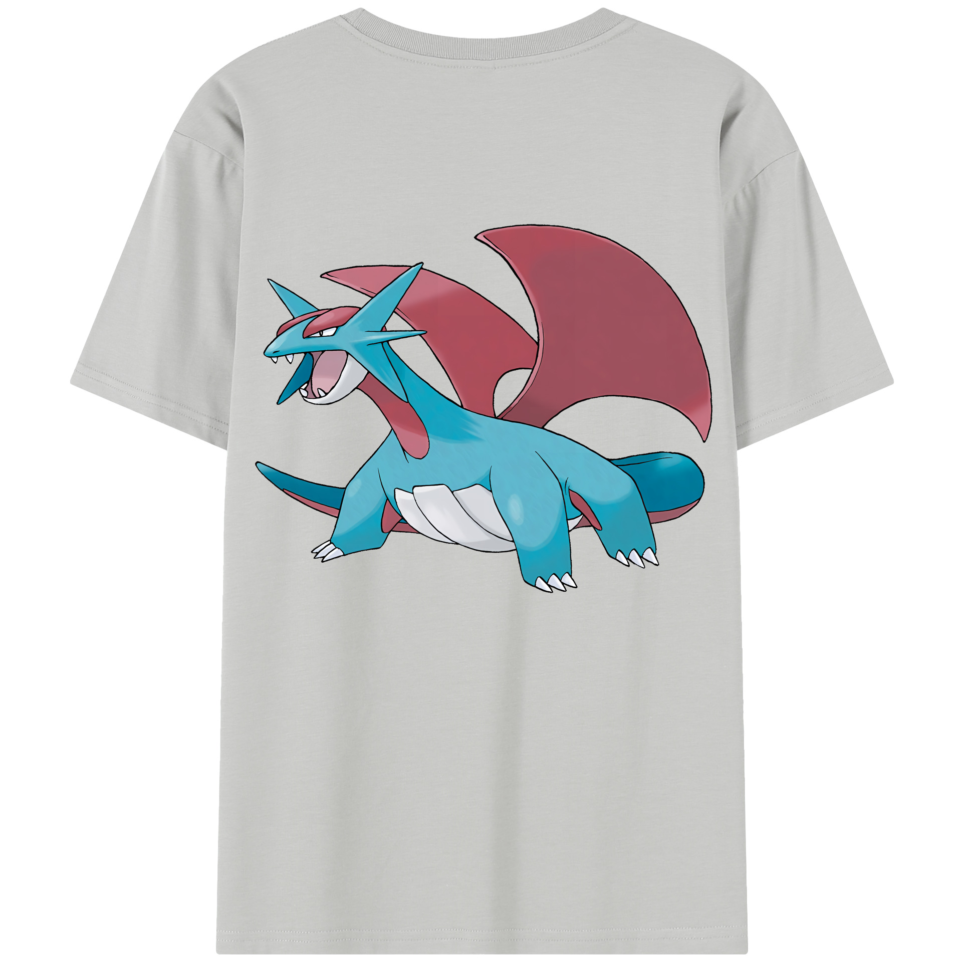 （画像用） ポケットモンスター Pokémon レディース半袖Tシャツ(バックプリント)