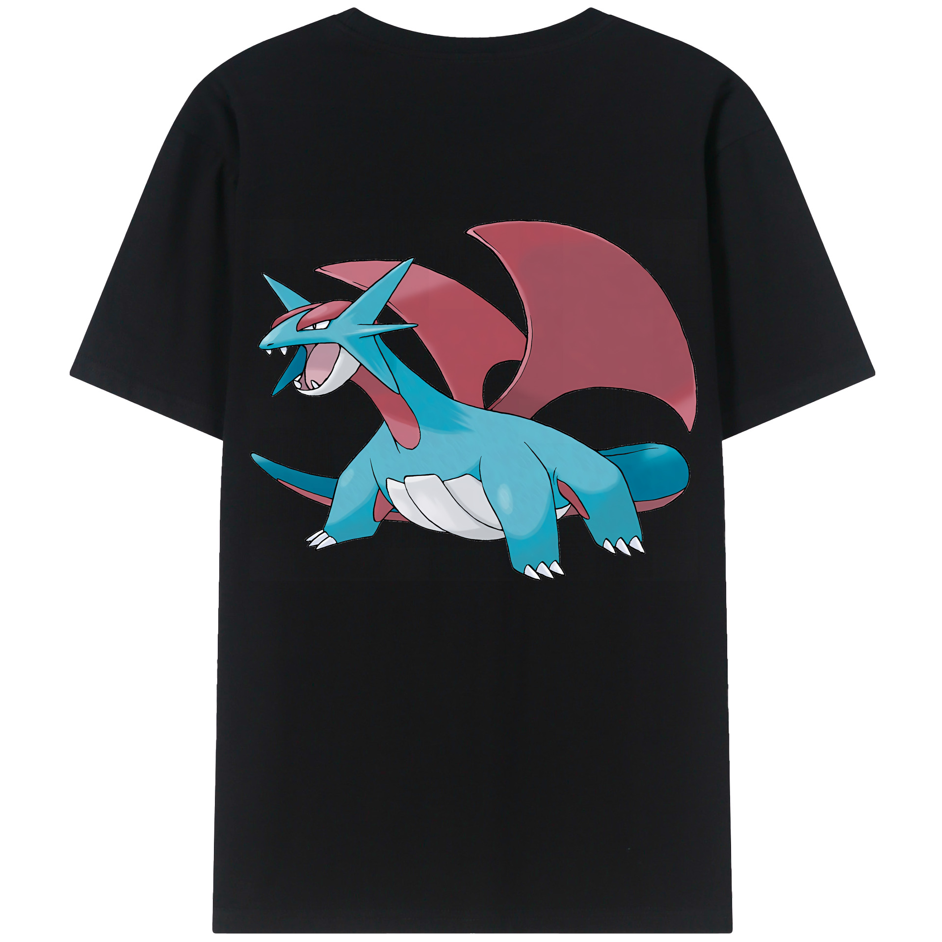（画像用） ポケットモンスター Pokémon レディース半袖Tシャツ(バックプリント)