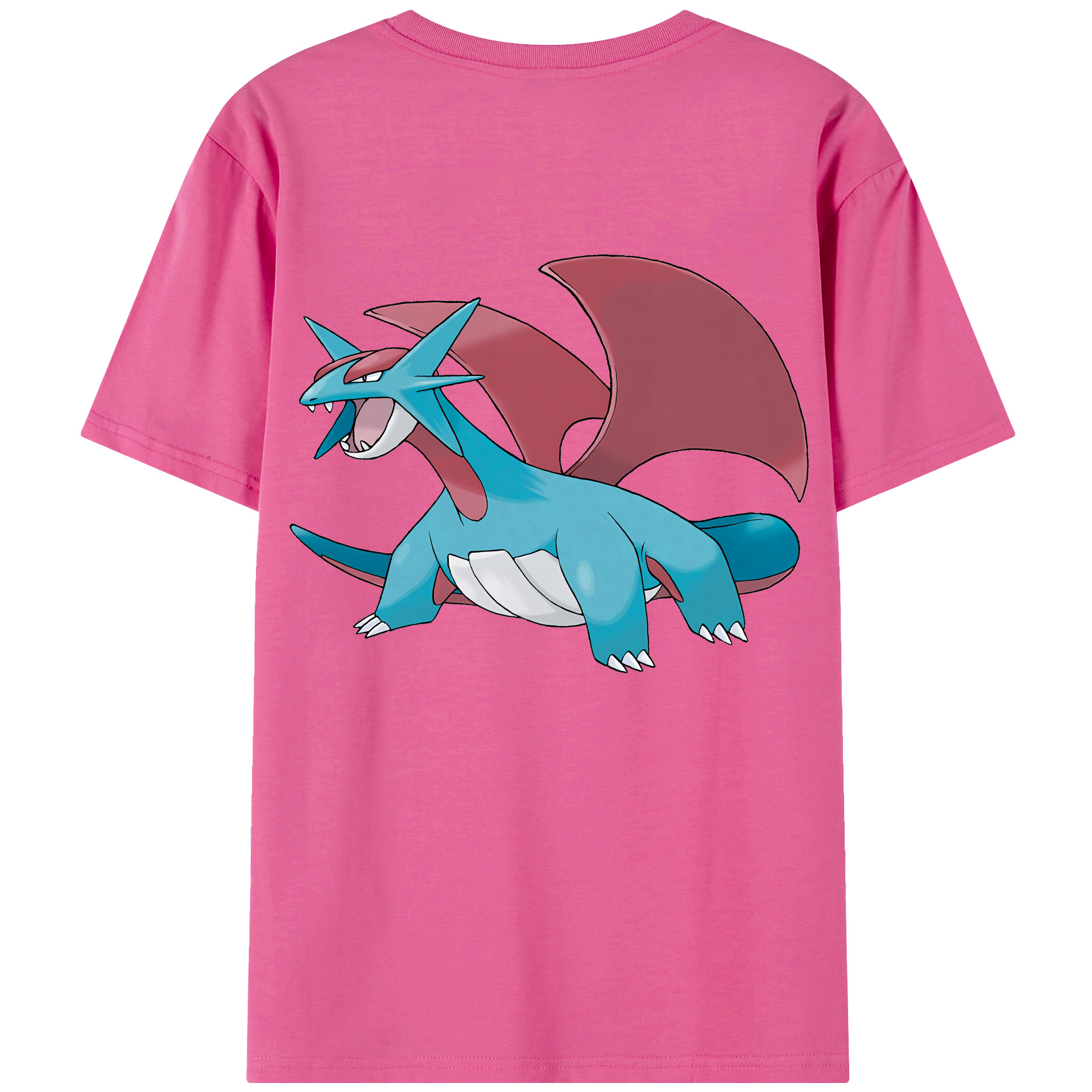 （画像用） ポケットモンスター Pokémon レディース半袖Tシャツ(バックプリント)