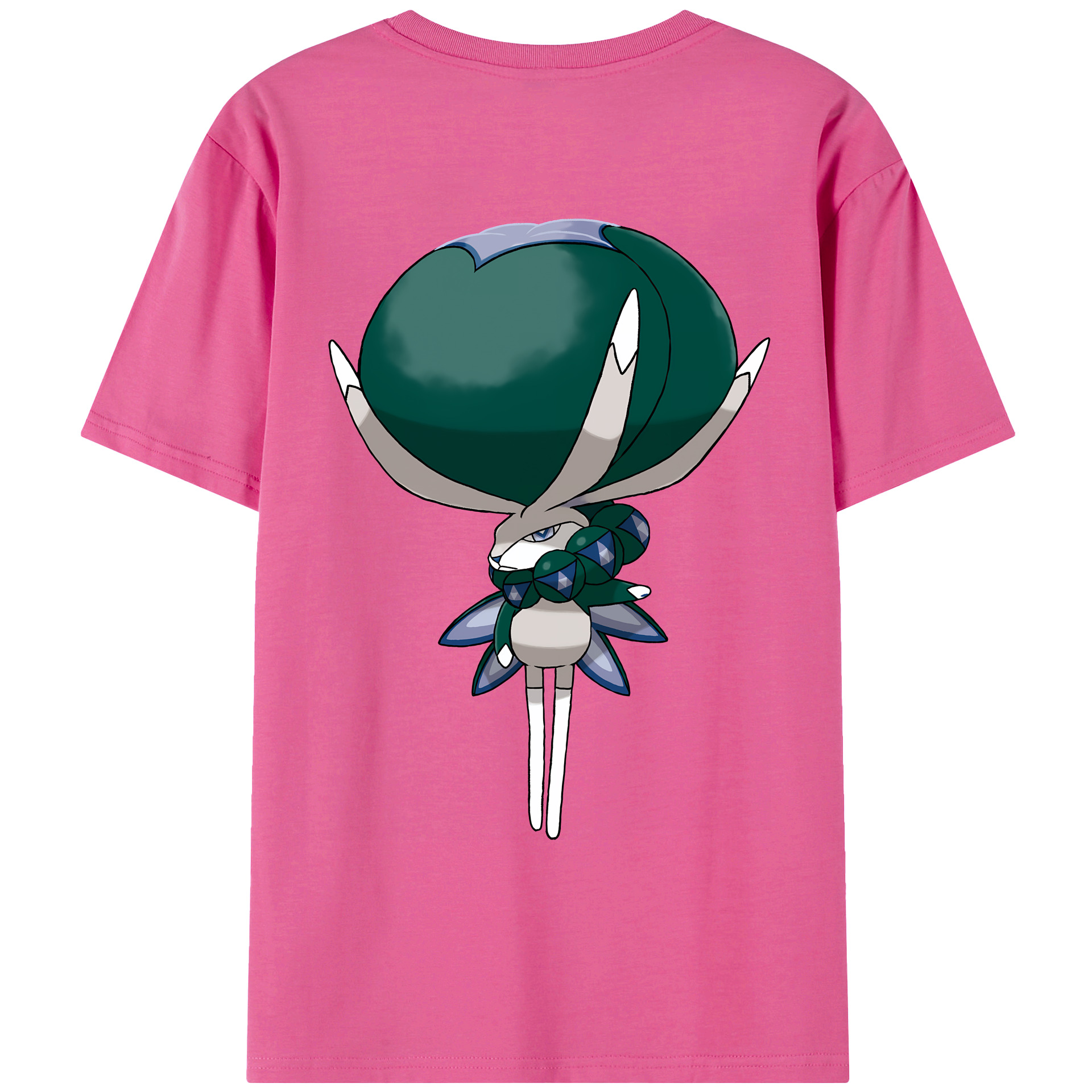 （画像用） ポケットモンスター Pokémon レディース半袖Tシャツ(バックプリント)