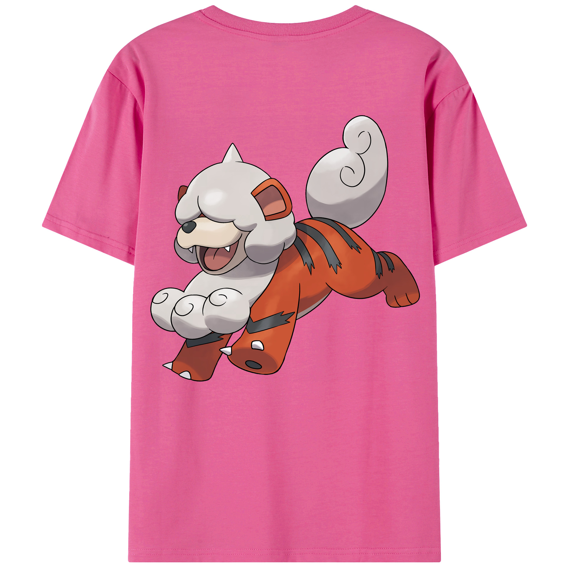 （画像用） ポケットモンスター Pokémon レディース半袖Tシャツ(バックプリント)