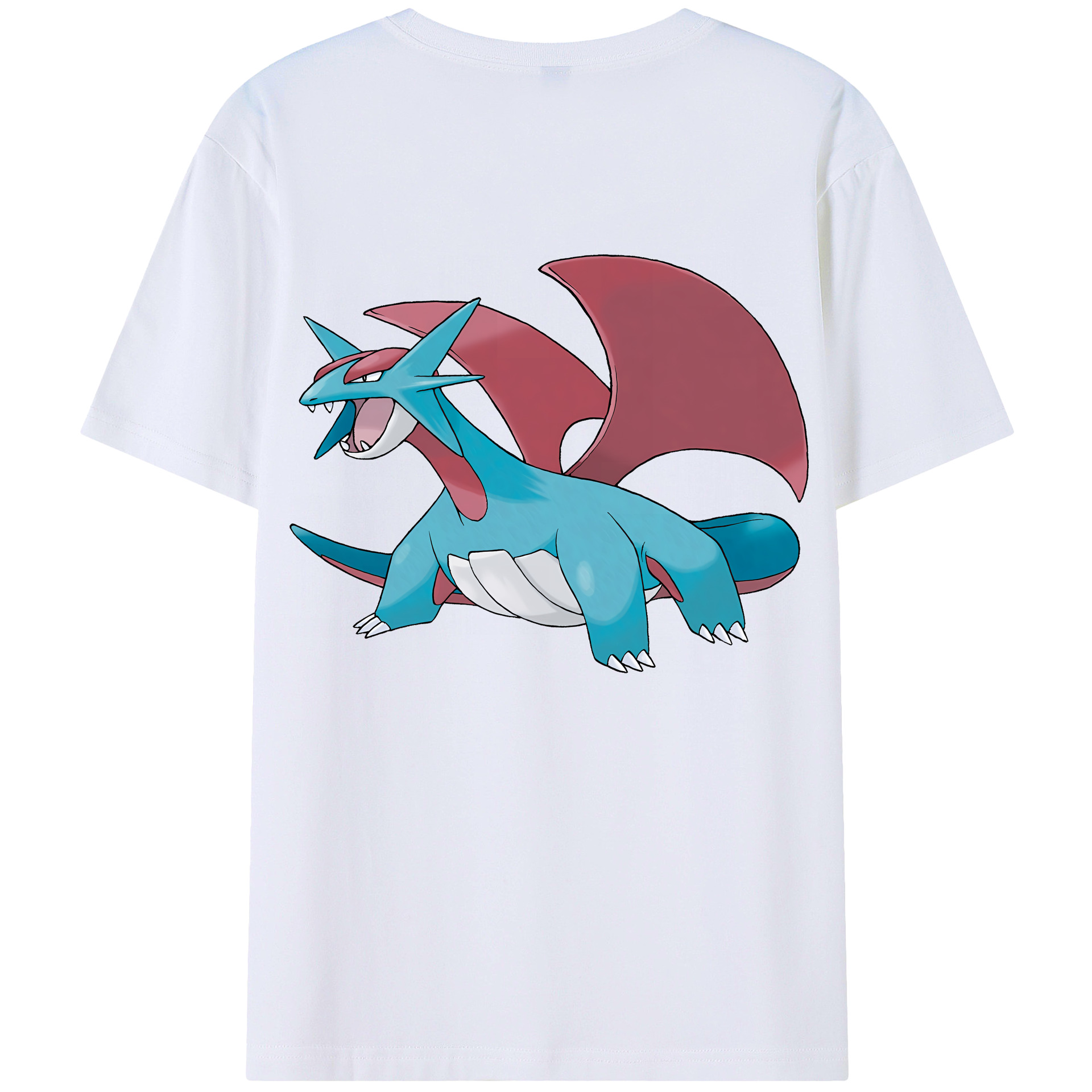 （画像用） ポケットモンスター Pokémon レディース半袖Tシャツ(バックプリント)