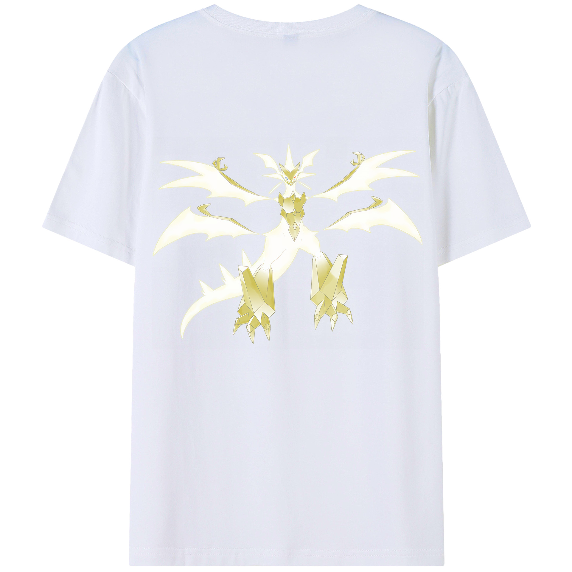 （画像用） ポケットモンスター Pokémon レディース半袖Tシャツ(バックプリント)