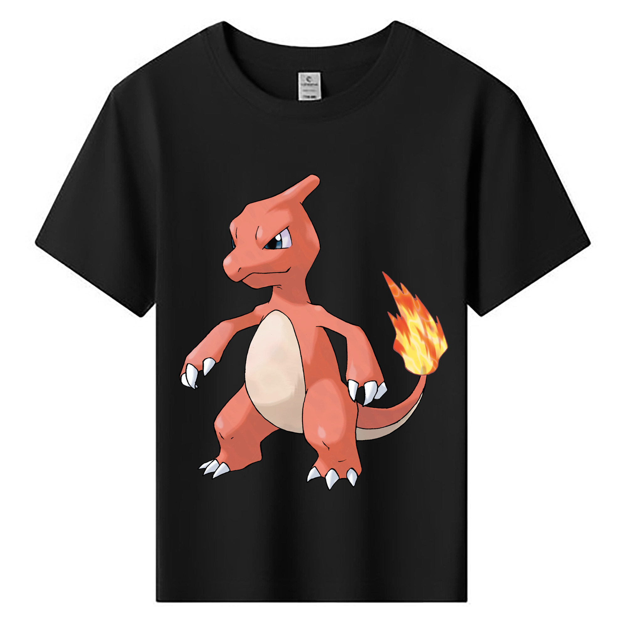 （画像用） ポケットモンスター Pokémon 綿100％キッズTシャツ（フロントプリント）