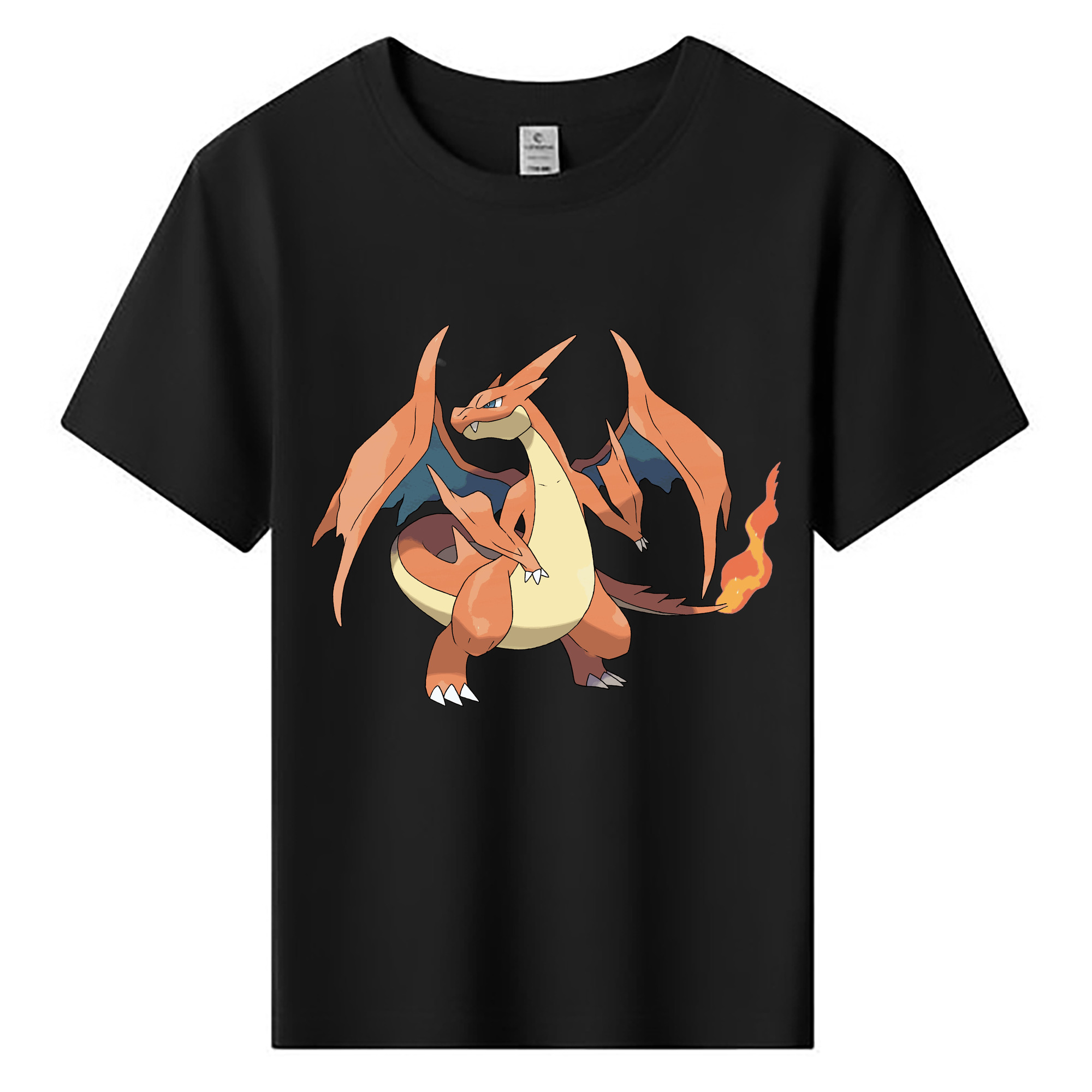（画像用） ポケットモンスター Pokémon 綿100％キッズTシャツ（フロントプリント）
