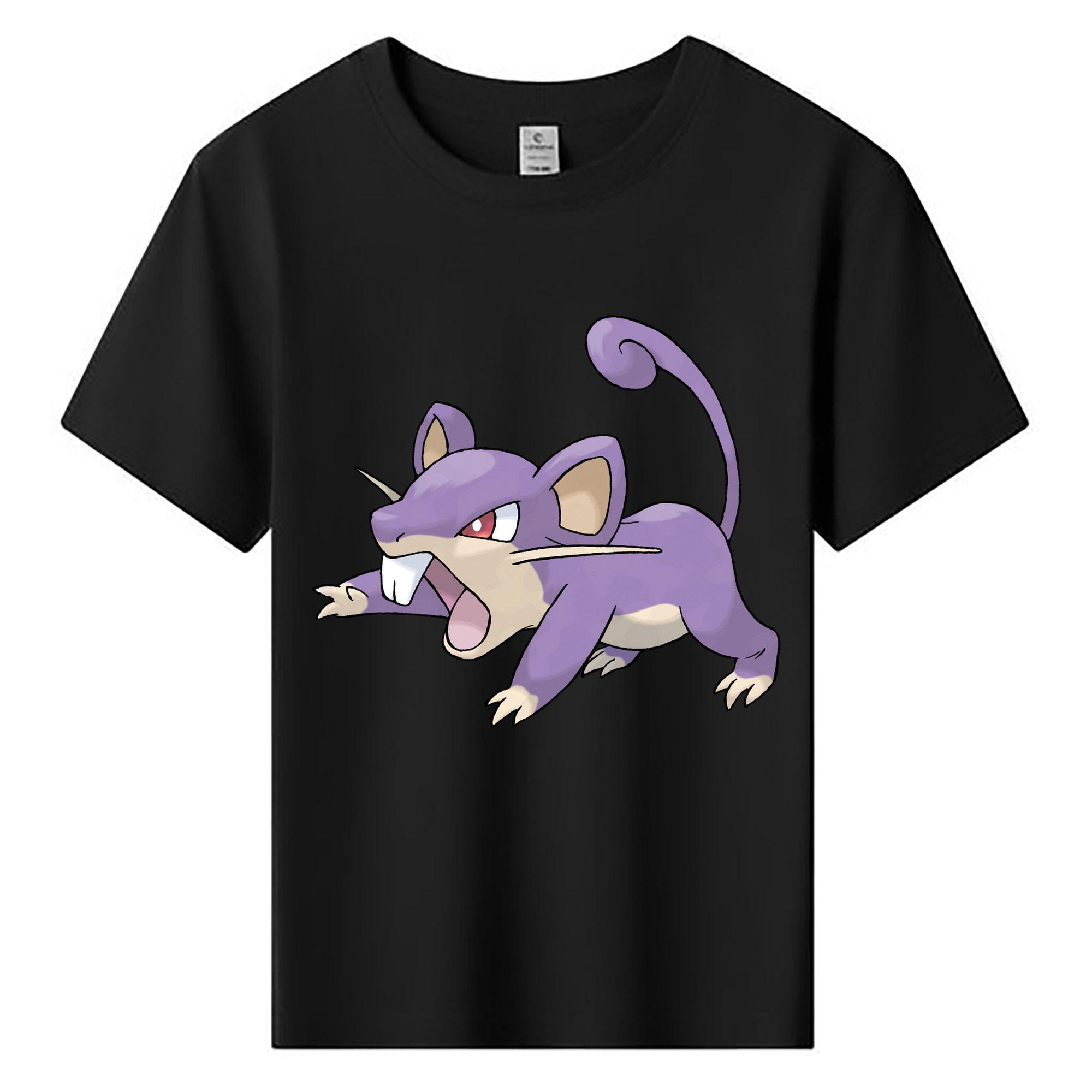 （画像用） ポケットモンスター Pokémon 綿100％キッズTシャツ（フロントプリント）