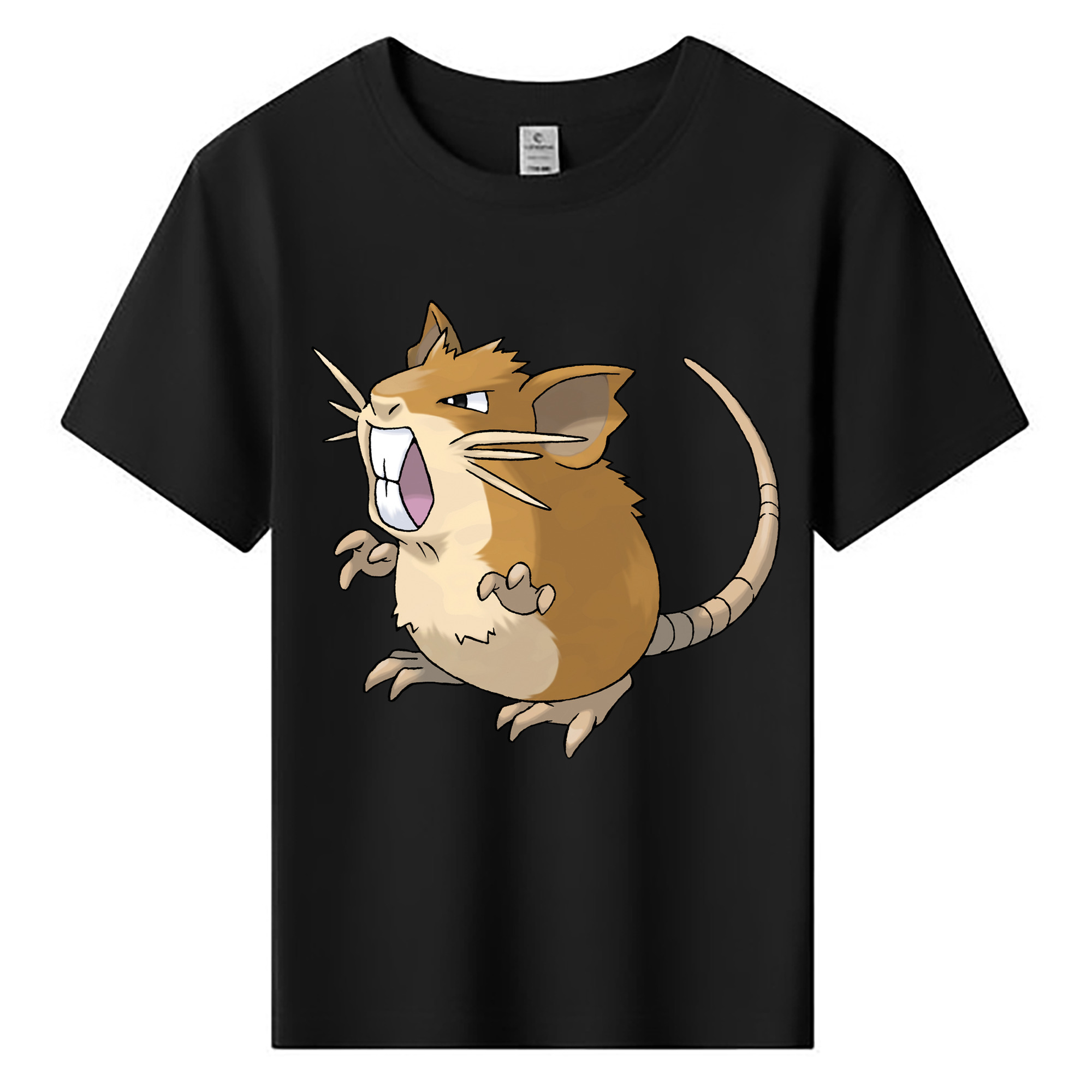 （画像用） ポケットモンスター Pokémon 綿100％キッズTシャツ（フロントプリント）