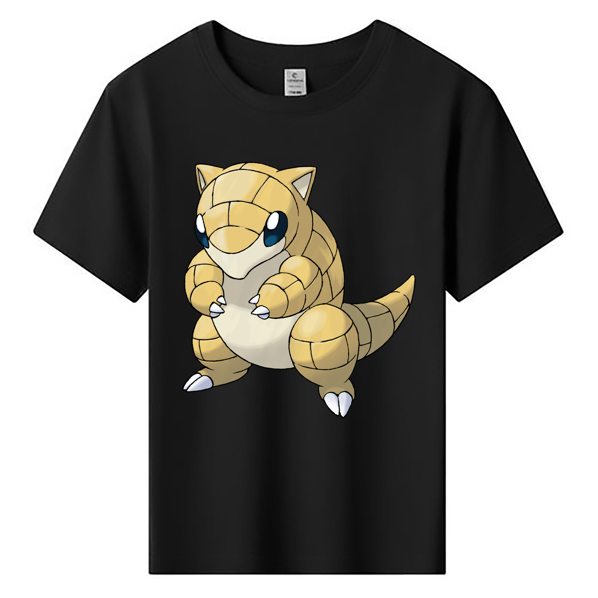 （画像用） ポケットモンスター Pokémon 綿100％キッズTシャツ（フロントプリント）