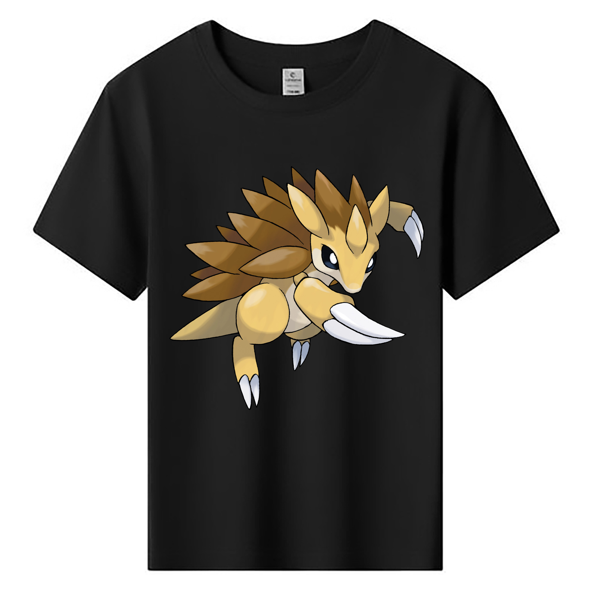 （画像用） ポケットモンスター Pokémon 綿100％キッズTシャツ（フロントプリント）