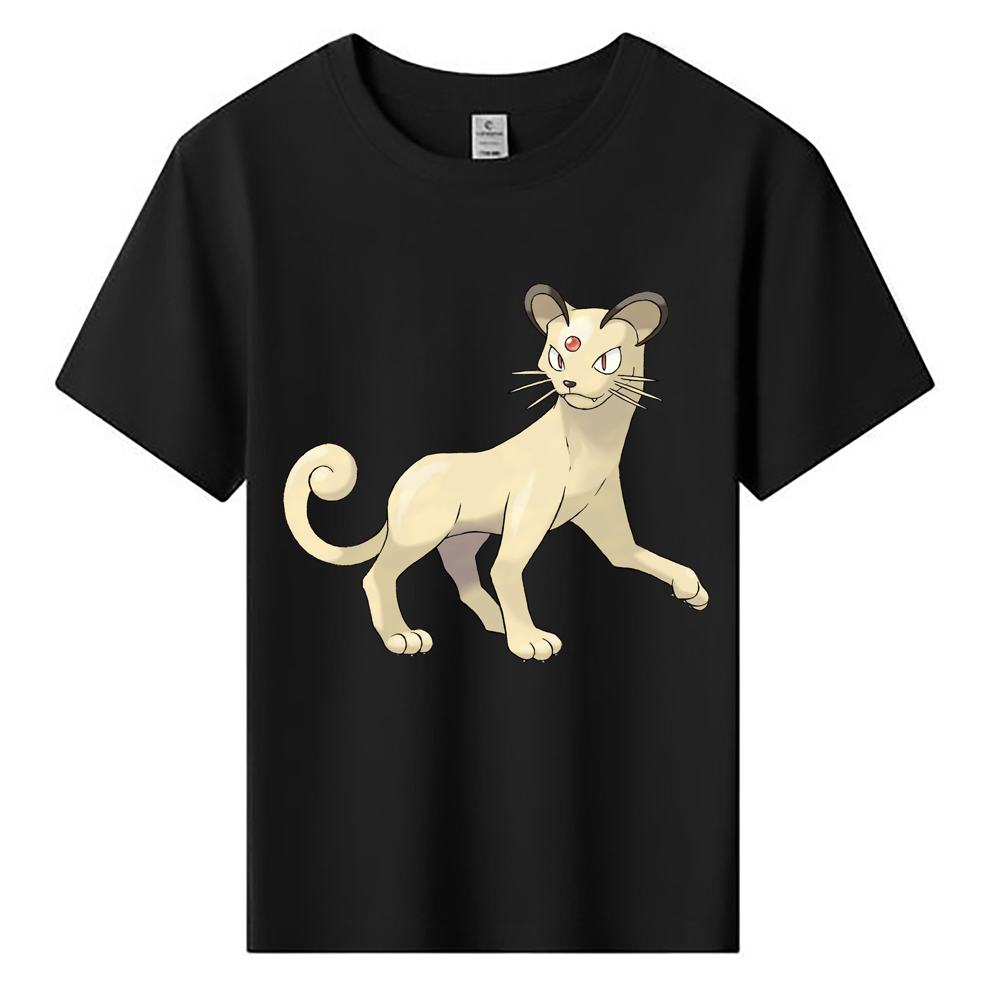 （画像用） ポケットモンスター Pokémon 綿100％キッズTシャツ（フロントプリント）