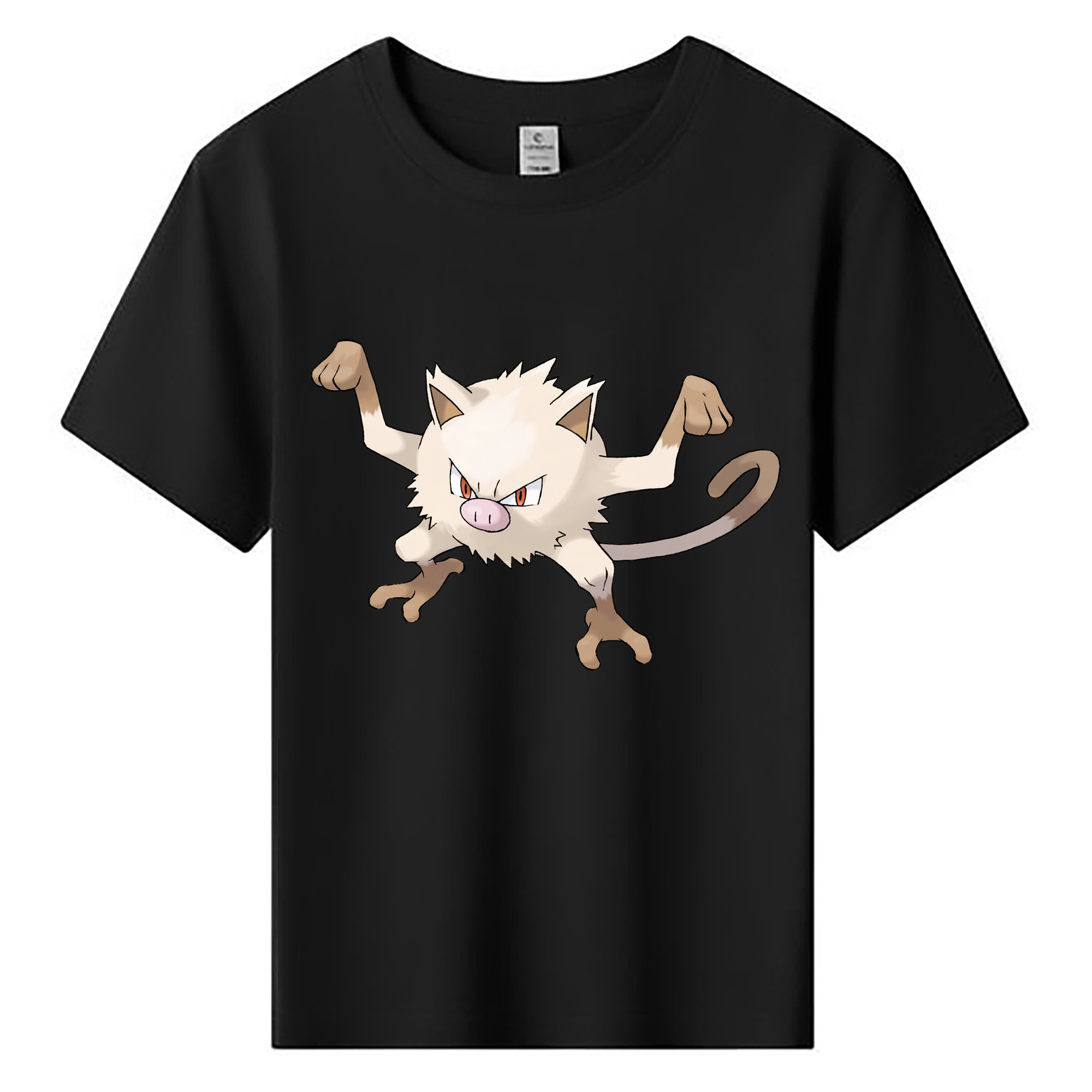 （画像用） ポケットモンスター Pokémon 綿100％キッズTシャツ（フロントプリント）