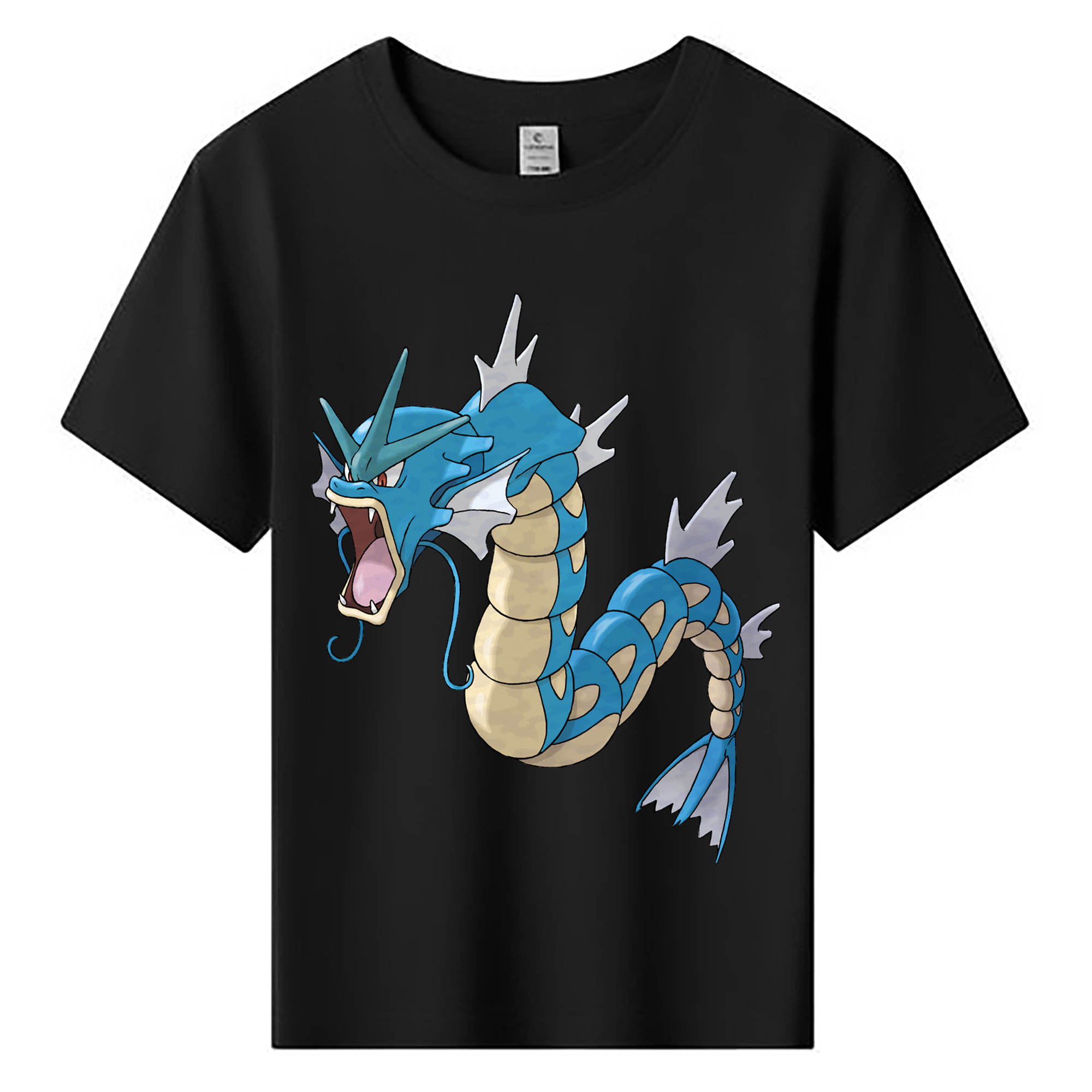 （画像用） ポケットモンスター Pokémon 綿100％キッズTシャツ（フロントプリント）