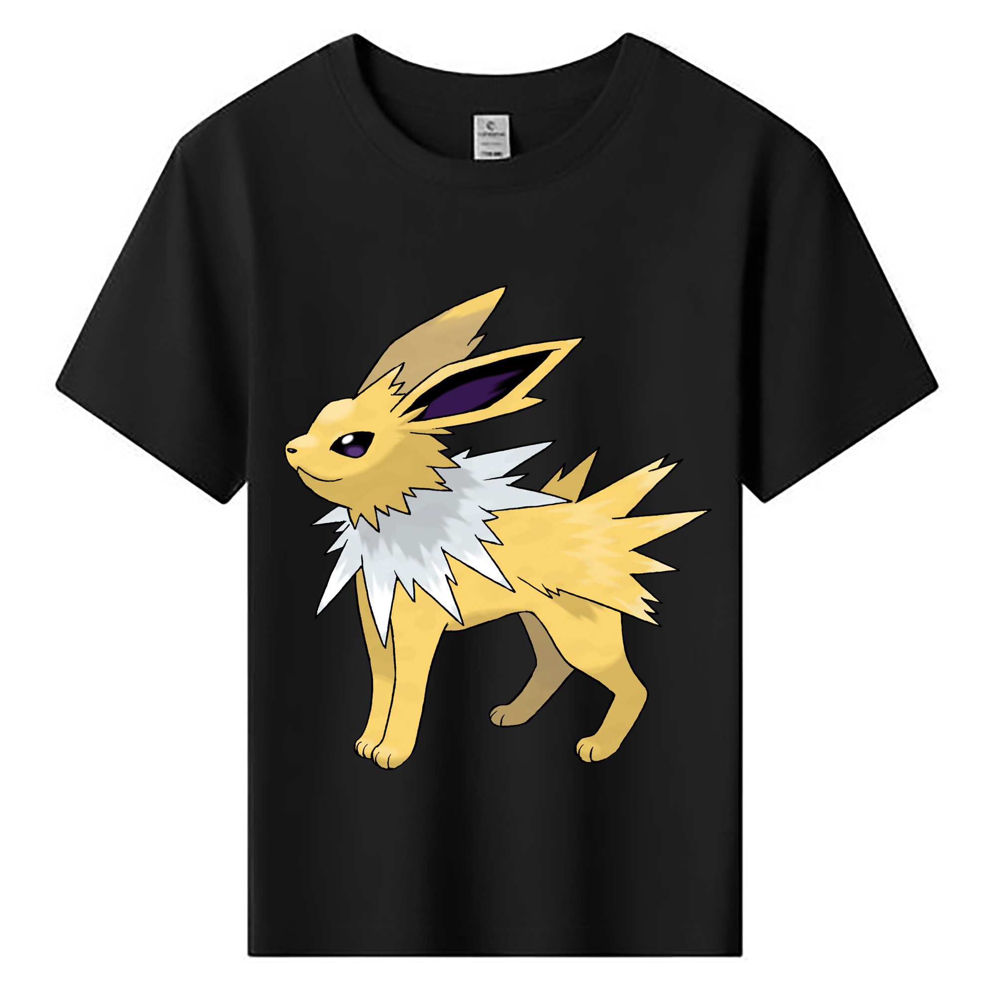 （画像用） ポケットモンスター Pokémon 綿100％キッズTシャツ（フロントプリント）