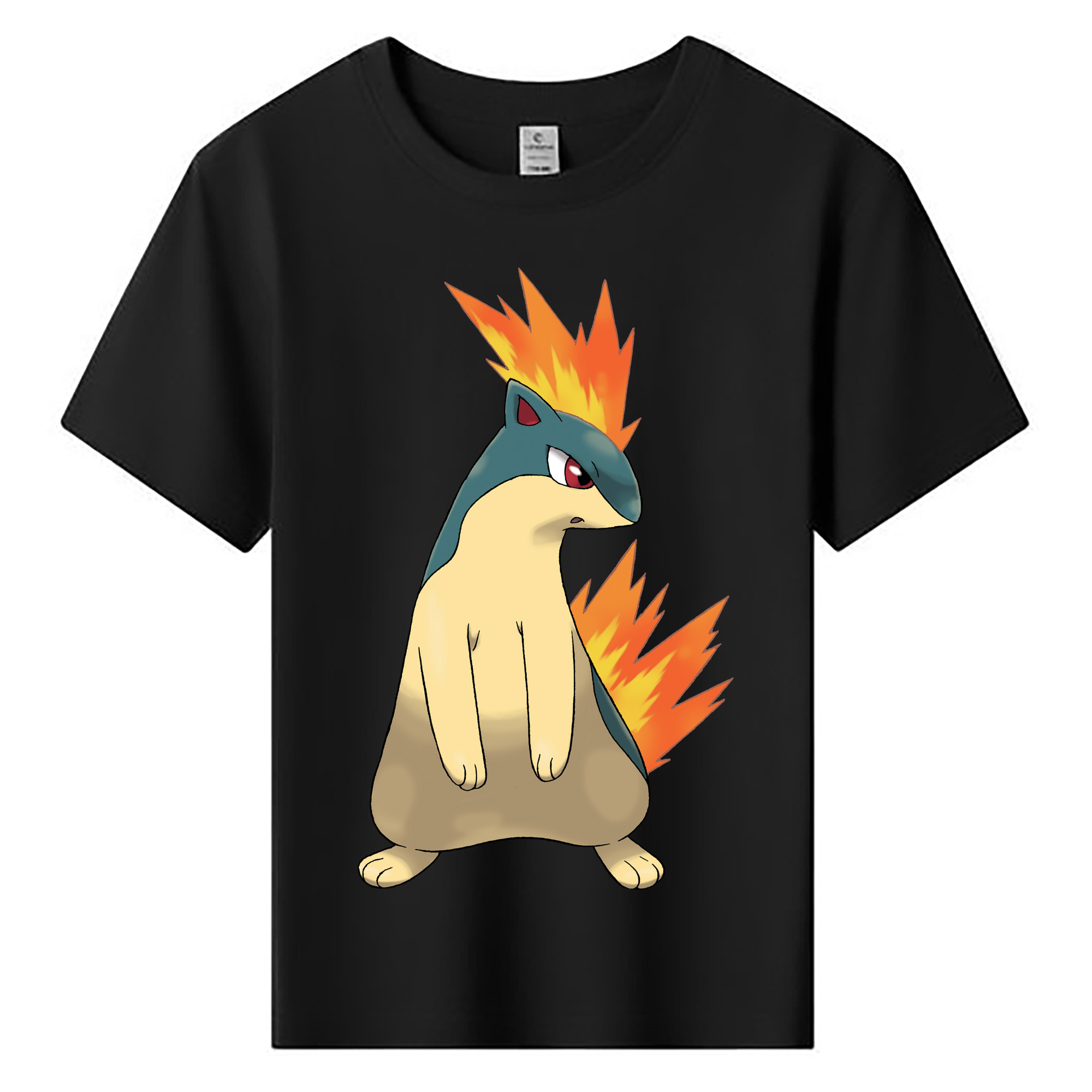 （画像用） ポケットモンスター Pokémon 綿100％キッズTシャツ（フロントプリント）
