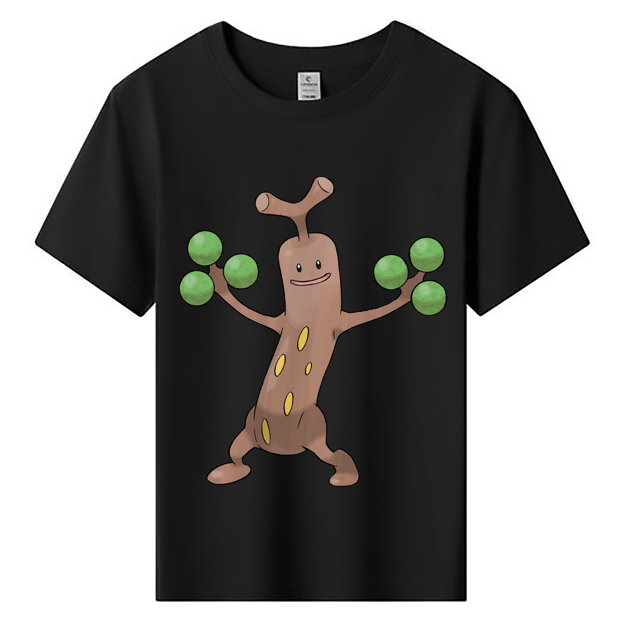 （画像用） ポケットモンスター Pokémon 綿100％キッズTシャツ（フロントプリント）