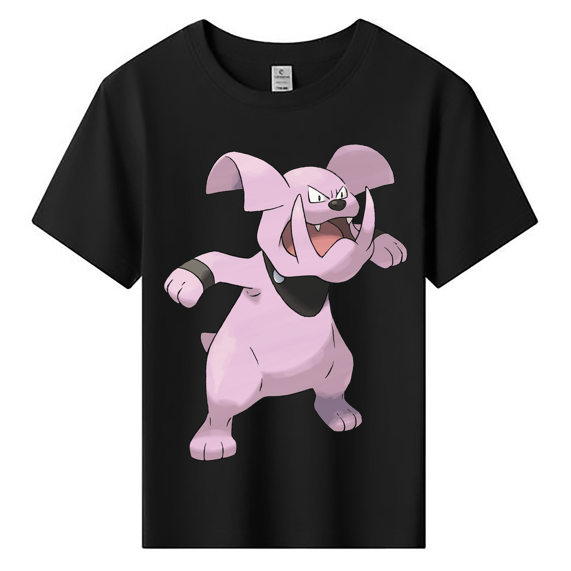 （画像用） ポケットモンスター Pokémon 綿100％キッズTシャツ（フロントプリント）