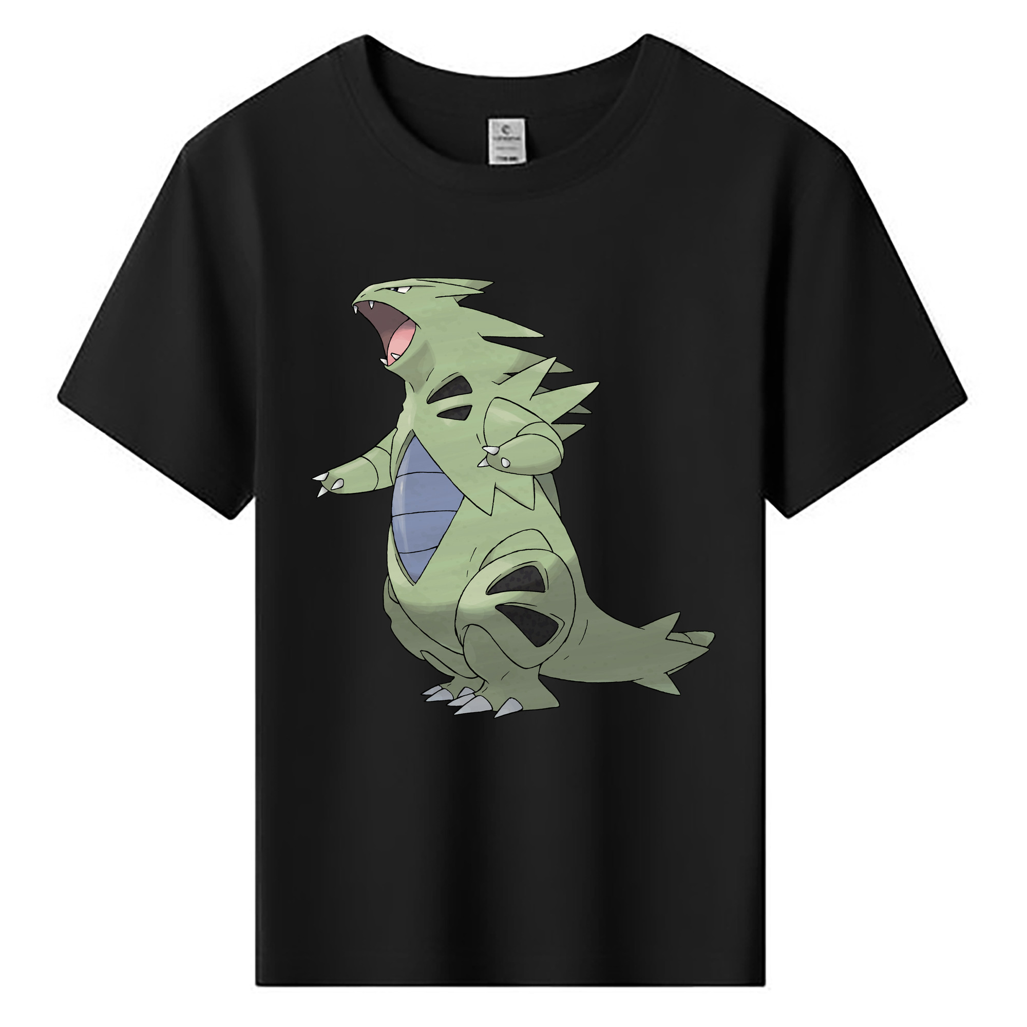 （画像用） ポケットモンスター Pokémon 綿100％キッズTシャツ（フロントプリント）