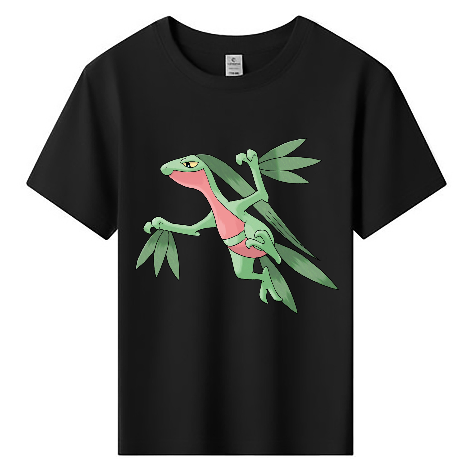 （画像用） ポケットモンスター Pokémon 綿100％キッズTシャツ（フロントプリント）