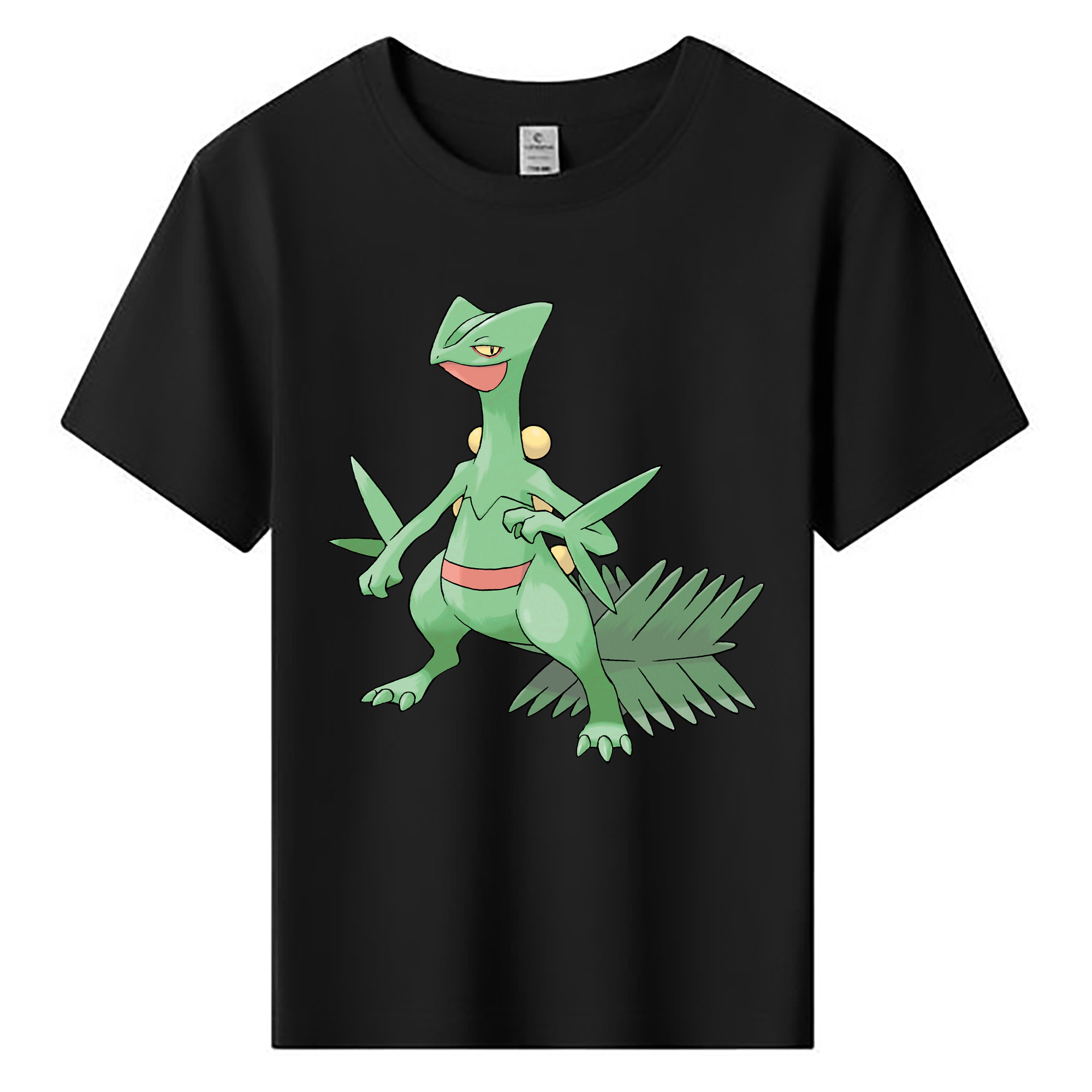 （画像用） ポケットモンスター Pokémon 綿100％キッズTシャツ（フロントプリント）