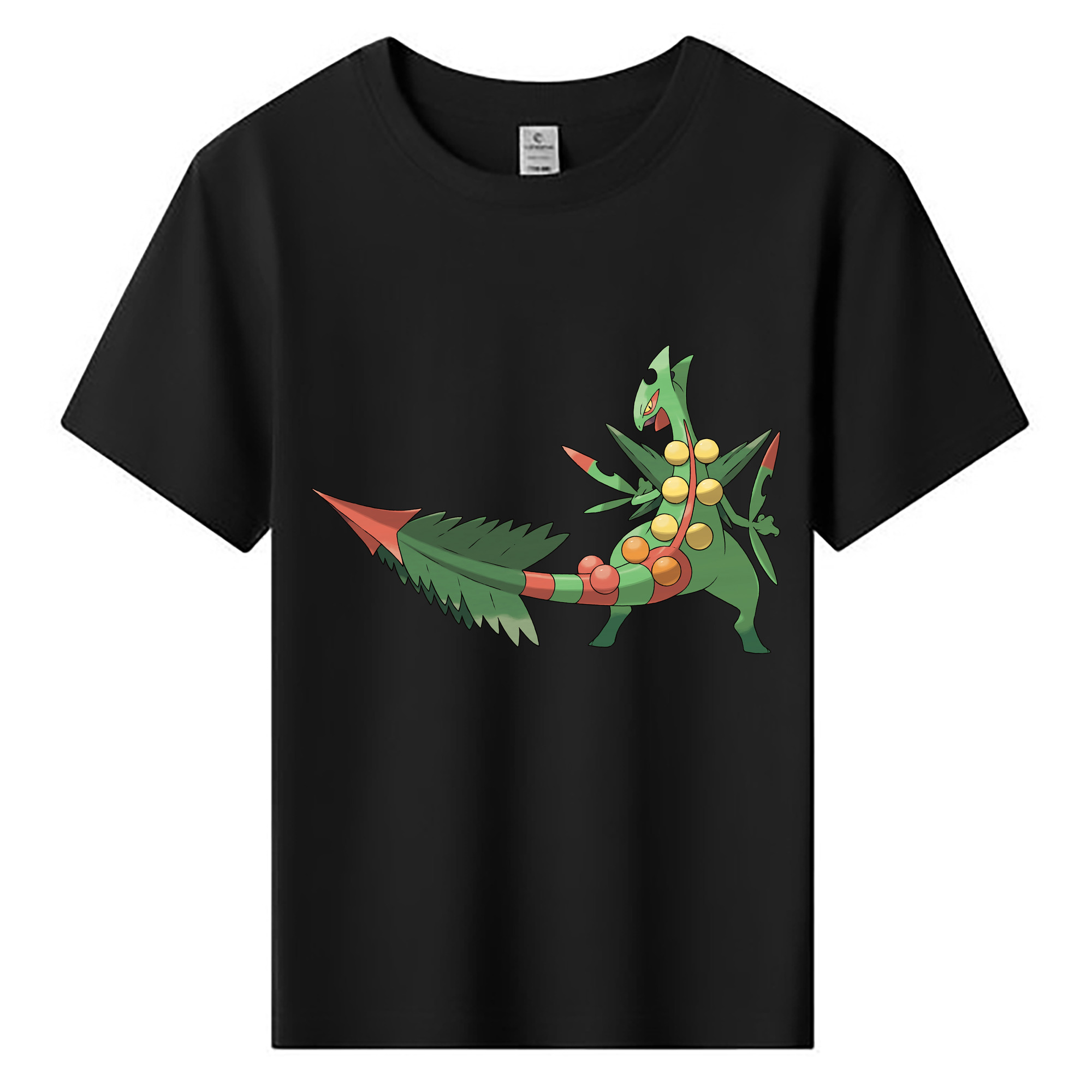 （画像用） ポケットモンスター Pokémon 綿100％キッズTシャツ（フロントプリント）