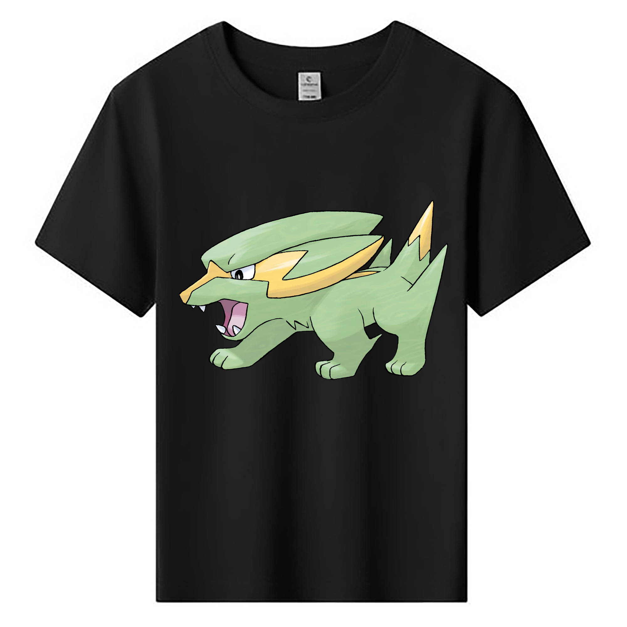 （画像用） ポケットモンスター Pokémon 綿100％キッズTシャツ（フロントプリント）