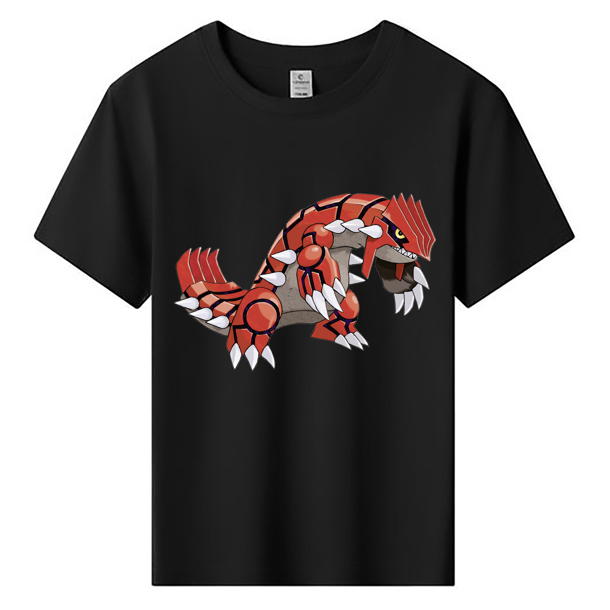（画像用） ポケットモンスター Pokémon 綿100％キッズTシャツ（フロントプリント）