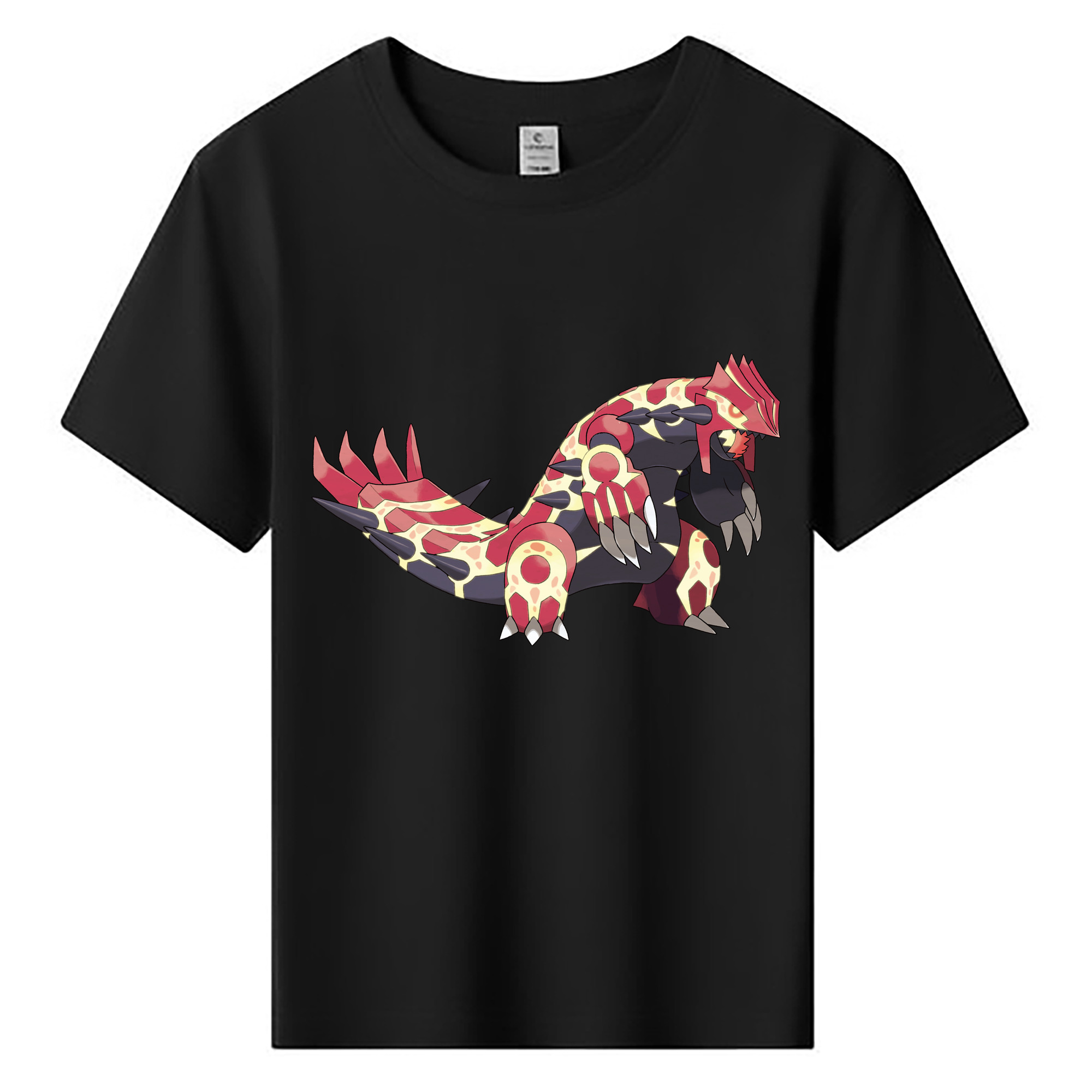（画像用） ポケットモンスター Pokémon 綿100％キッズTシャツ（フロントプリント）