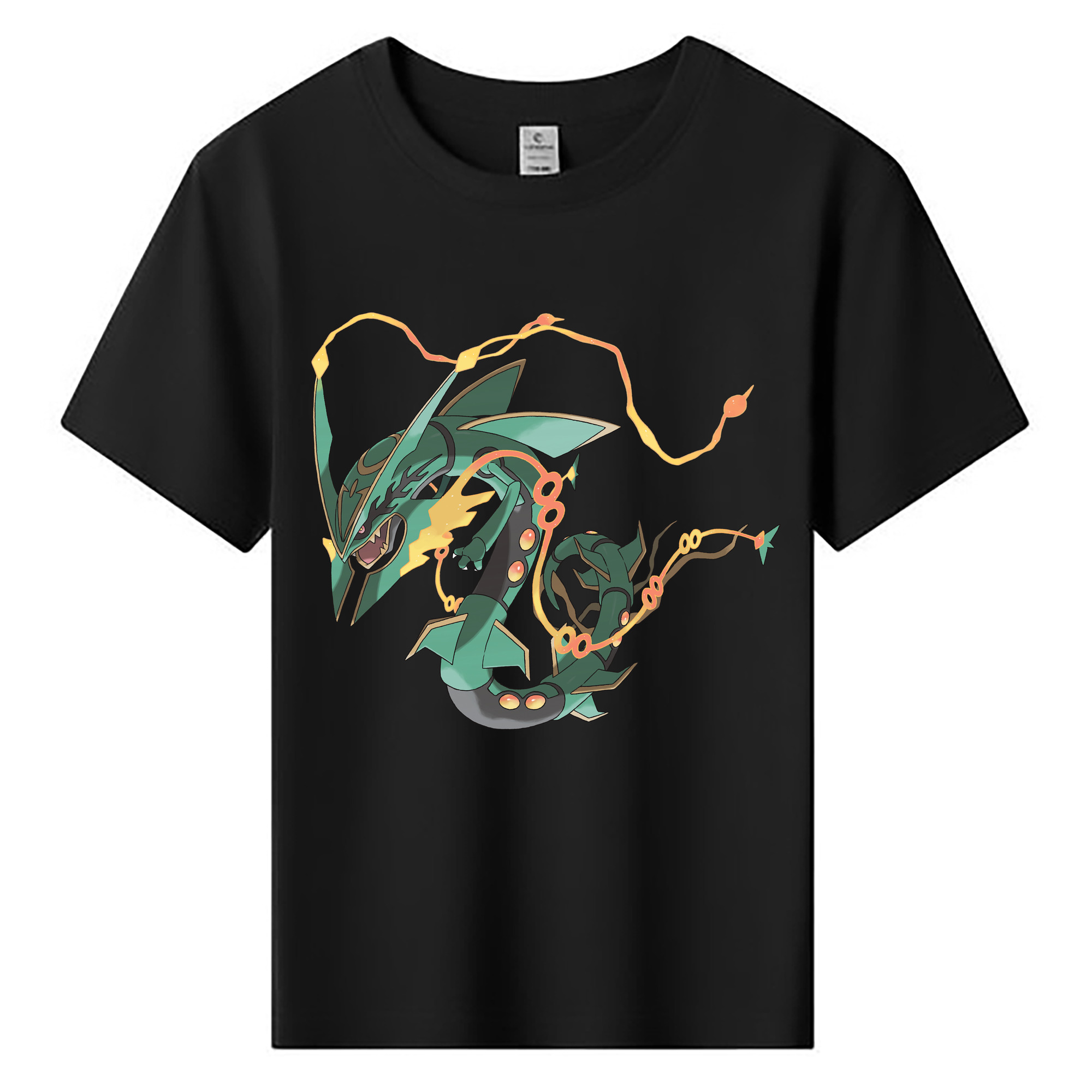 （画像用） ポケットモンスター Pokémon 綿100％キッズTシャツ（フロントプリント）