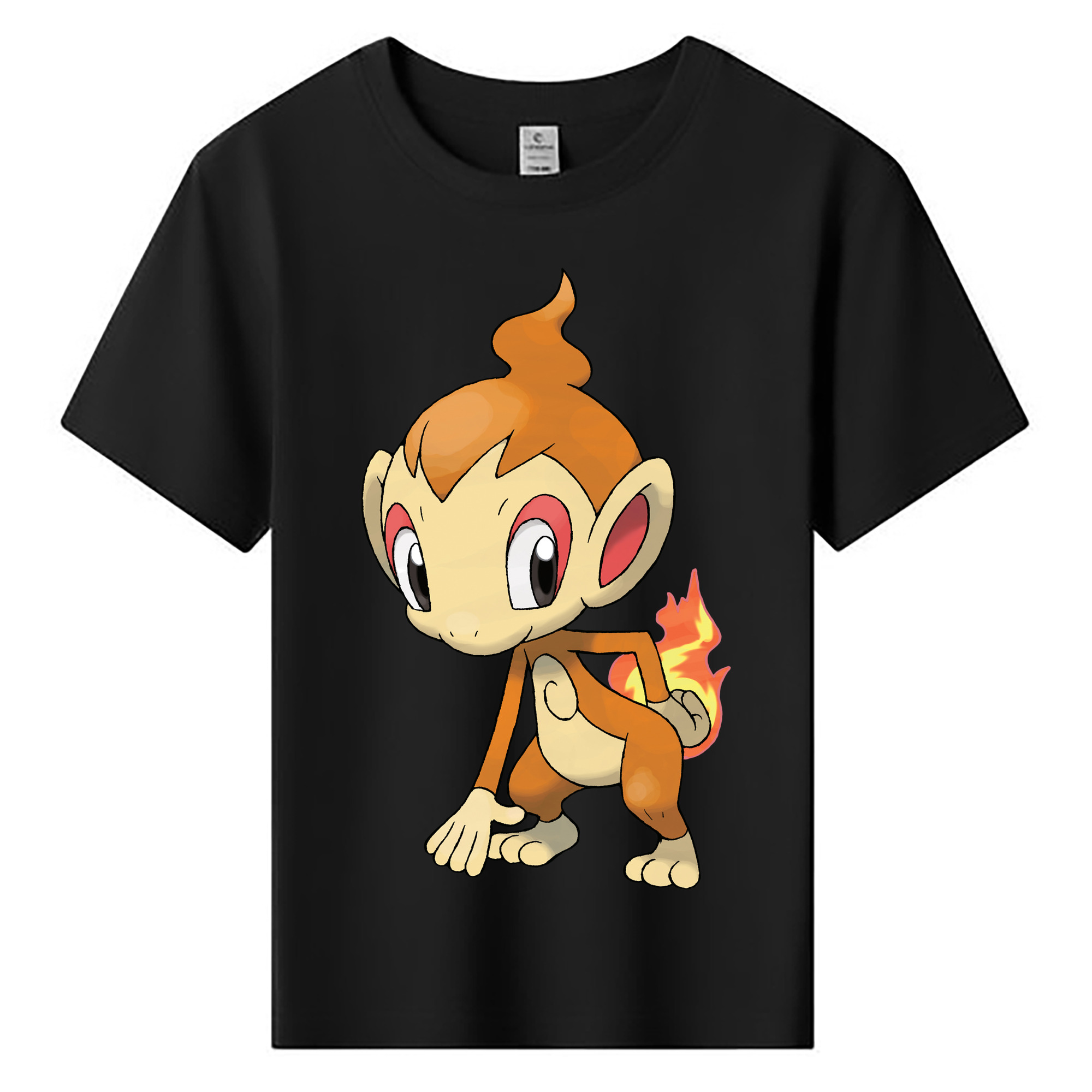 （画像用） ポケットモンスター Pokémon 綿100％キッズTシャツ（フロントプリント）