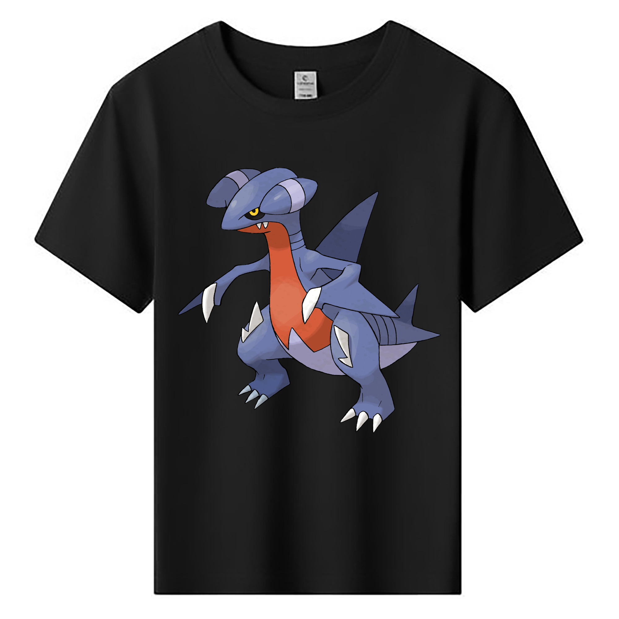 （画像用） ポケットモンスター Pokémon 綿100％キッズTシャツ（フロントプリント）
