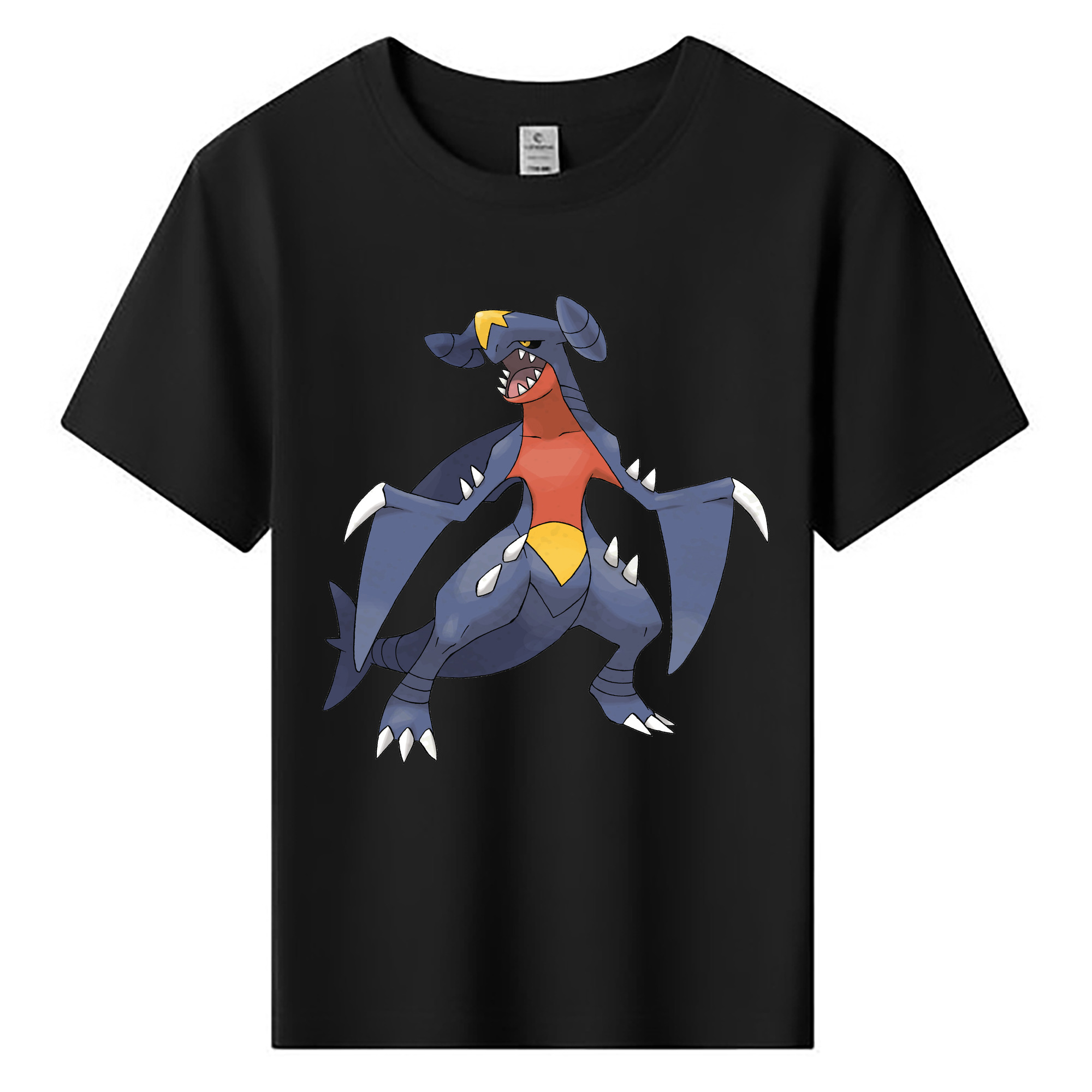 （画像用） ポケットモンスター Pokémon 綿100％キッズTシャツ（フロントプリント）