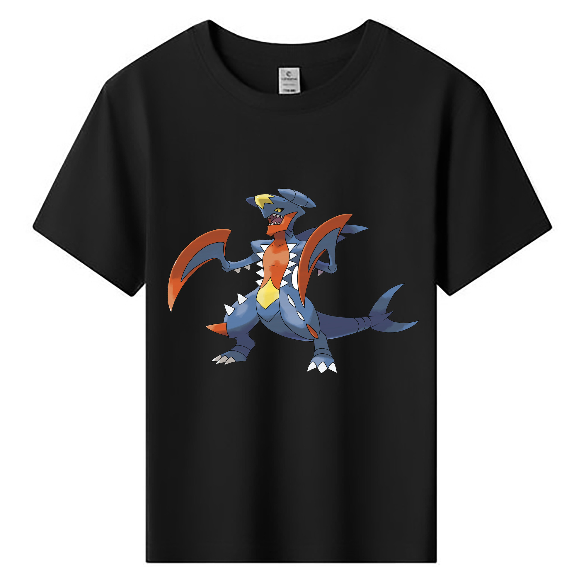 （画像用） ポケットモンスター Pokémon 綿100％キッズTシャツ（フロントプリント）