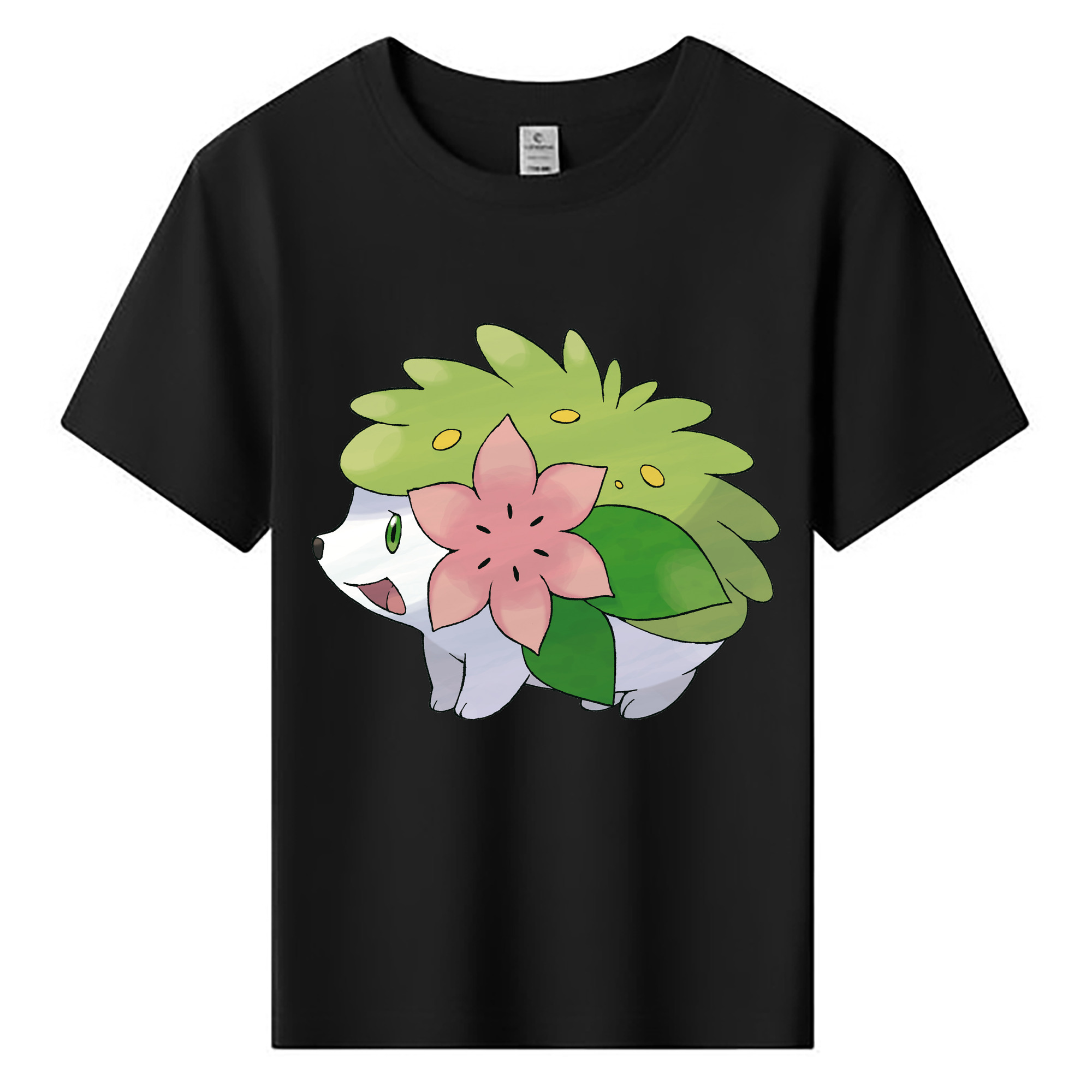 （画像用） ポケットモンスター Pokémon 綿100％キッズTシャツ（フロントプリント）