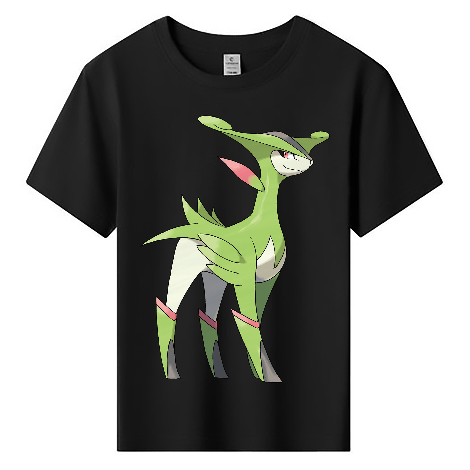 （画像用） ポケットモンスター Pokémon 綿100％キッズTシャツ（フロントプリント）