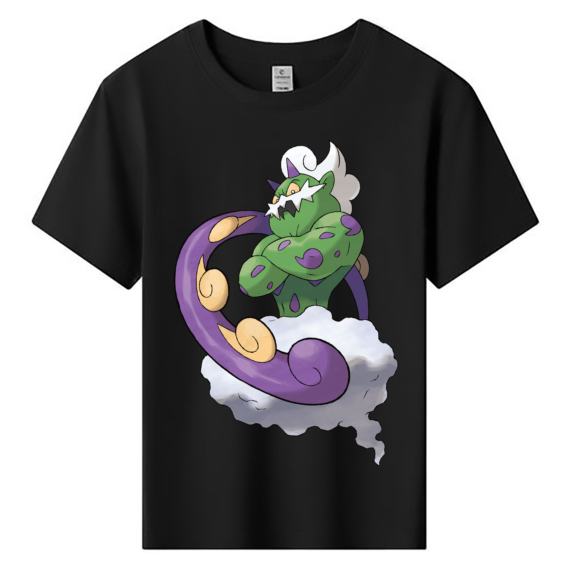 （画像用） ポケットモンスター Pokémon 綿100％キッズTシャツ（フロントプリント）