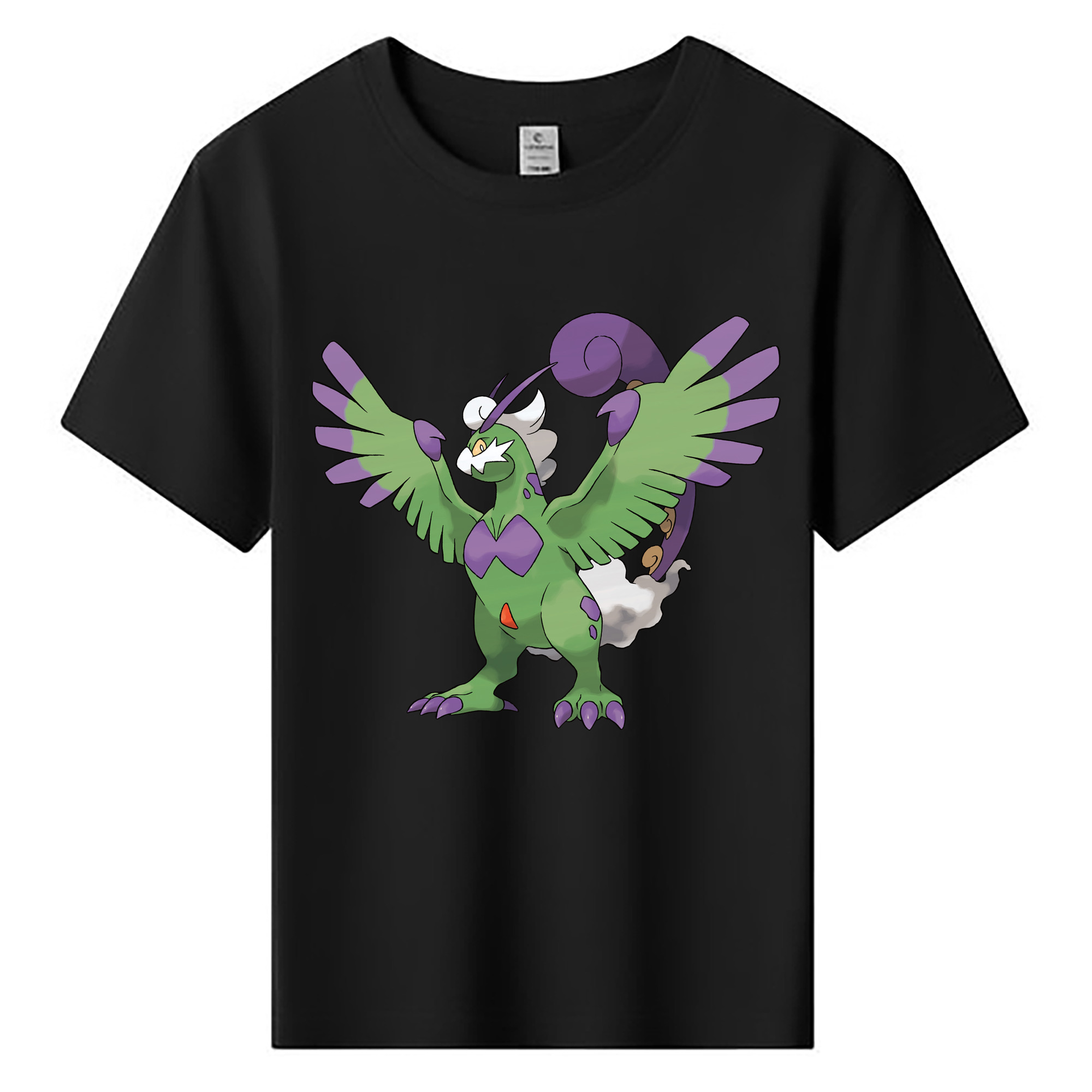 （画像用） ポケットモンスター Pokémon 綿100％キッズTシャツ（フロントプリント）