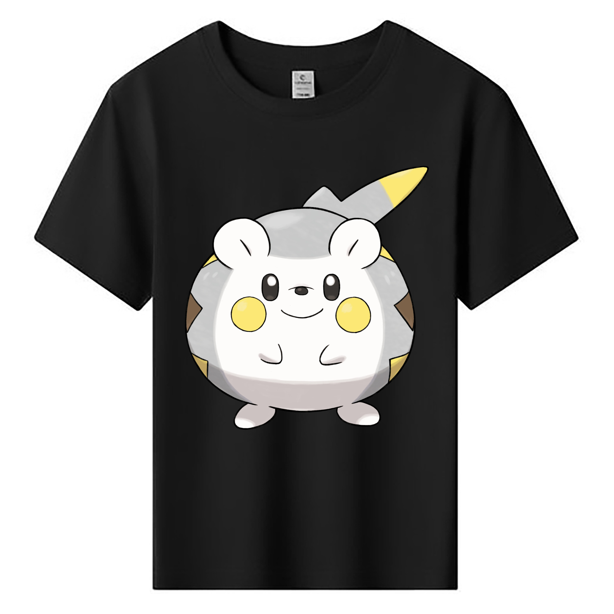 （画像用） ポケットモンスター Pokémon 綿100％キッズTシャツ（フロントプリント）