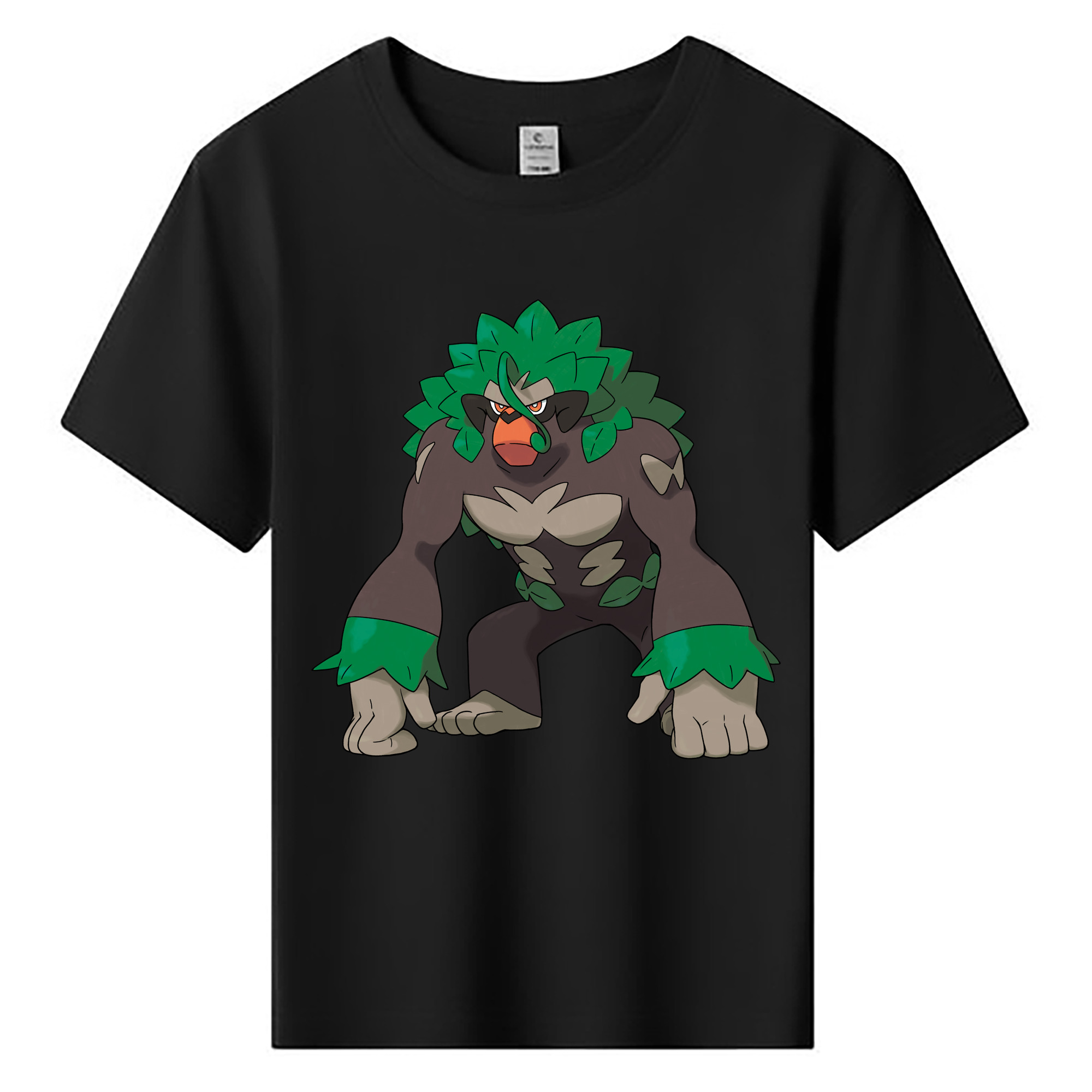 （画像用） ポケットモンスター Pokémon 綿100％キッズTシャツ（フロントプリント）
