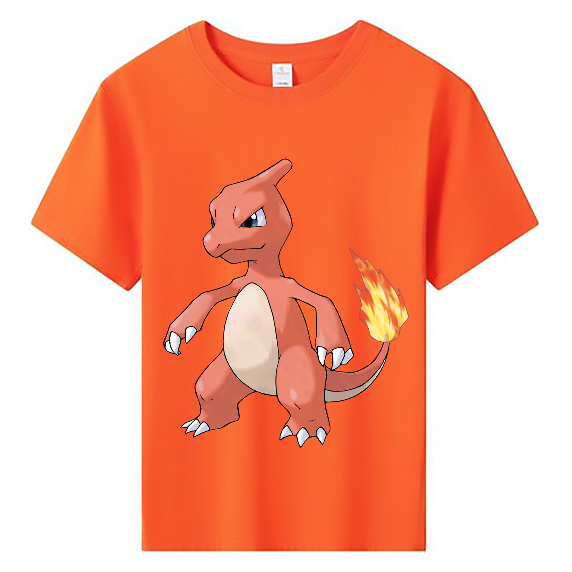 （画像用） ポケットモンスター Pokémon 綿100％キッズTシャツ（フロントプリント）