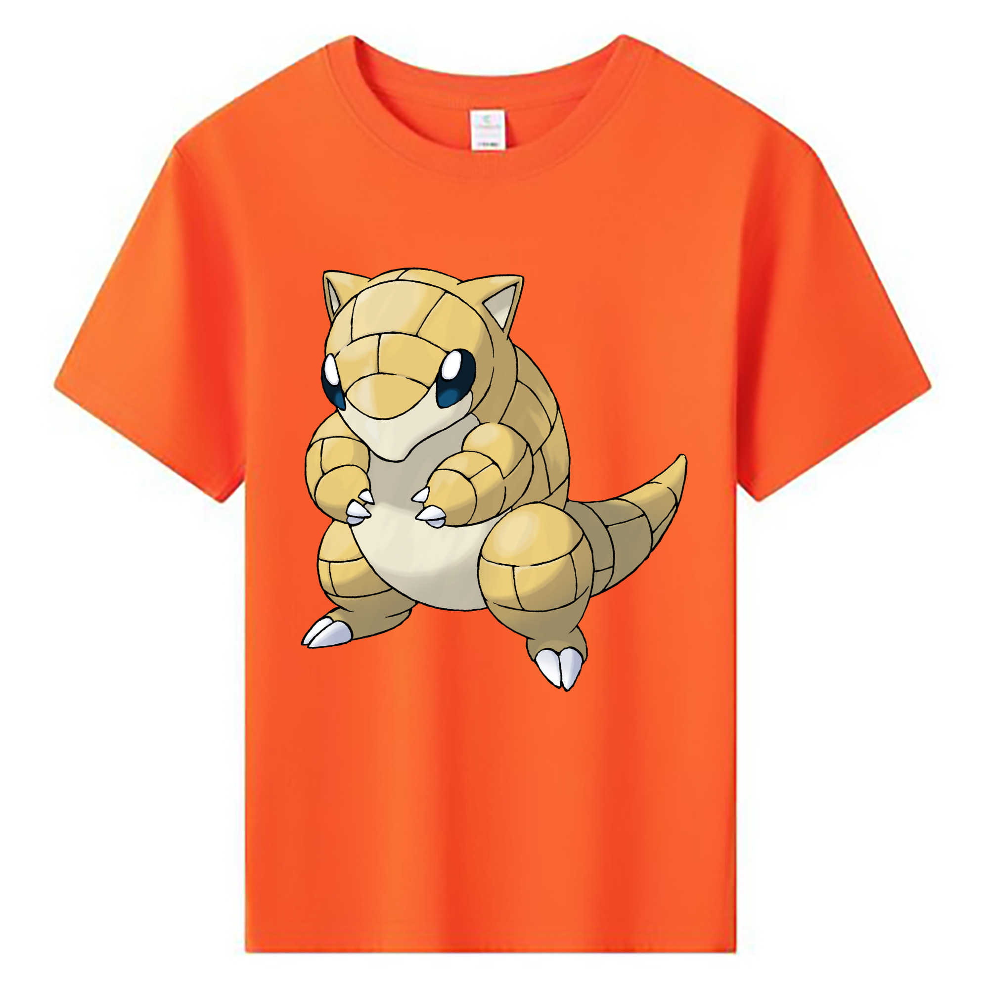 （画像用） ポケットモンスター Pokémon 綿100％キッズTシャツ（フロントプリント）