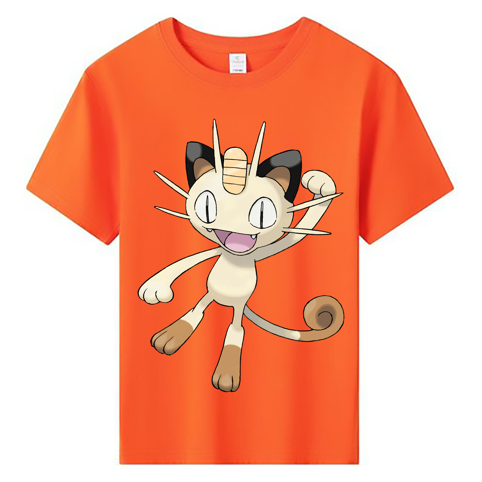 （画像用） ポケットモンスター Pokémon 綿100％キッズTシャツ（フロントプリント）