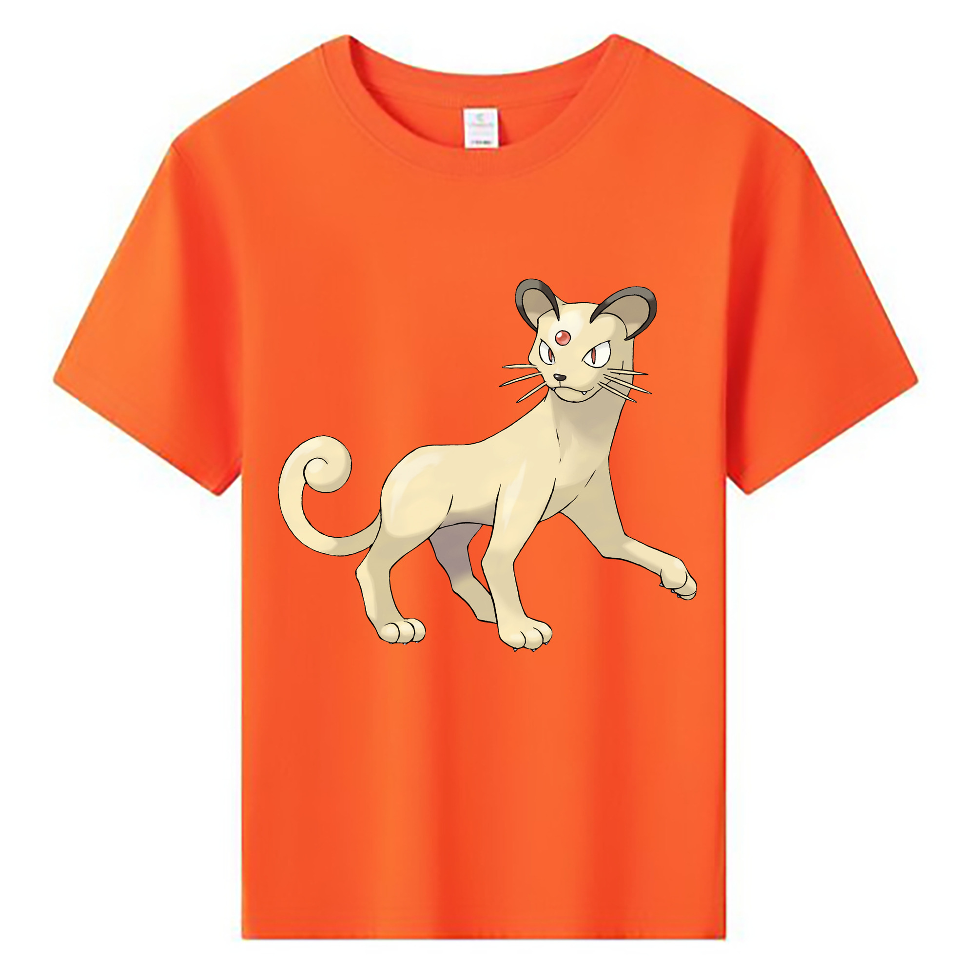 （画像用） ポケットモンスター Pokémon 綿100％キッズTシャツ（フロントプリント）