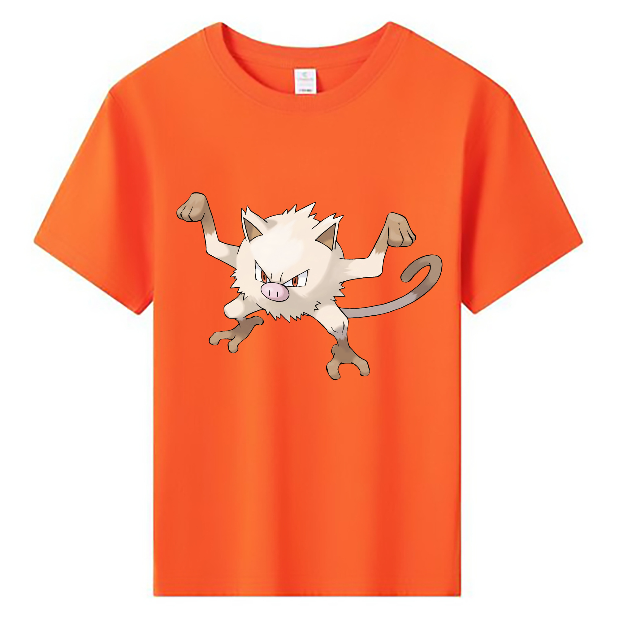 （画像用） ポケットモンスター Pokémon 綿100％キッズTシャツ（フロントプリント）