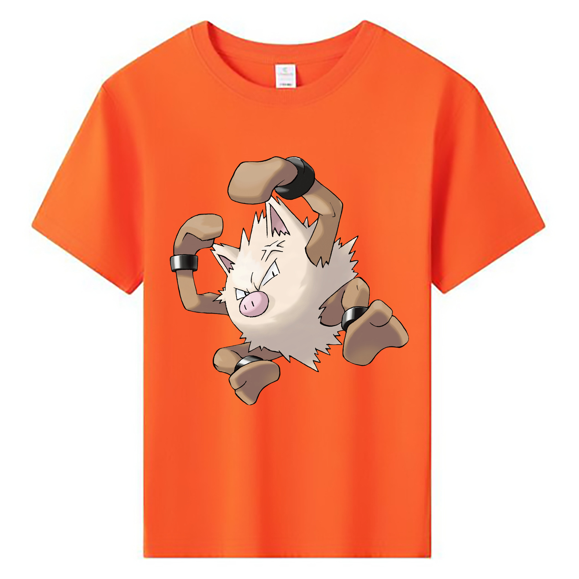 （画像用） ポケットモンスター Pokémon 綿100％キッズTシャツ（フロントプリント）