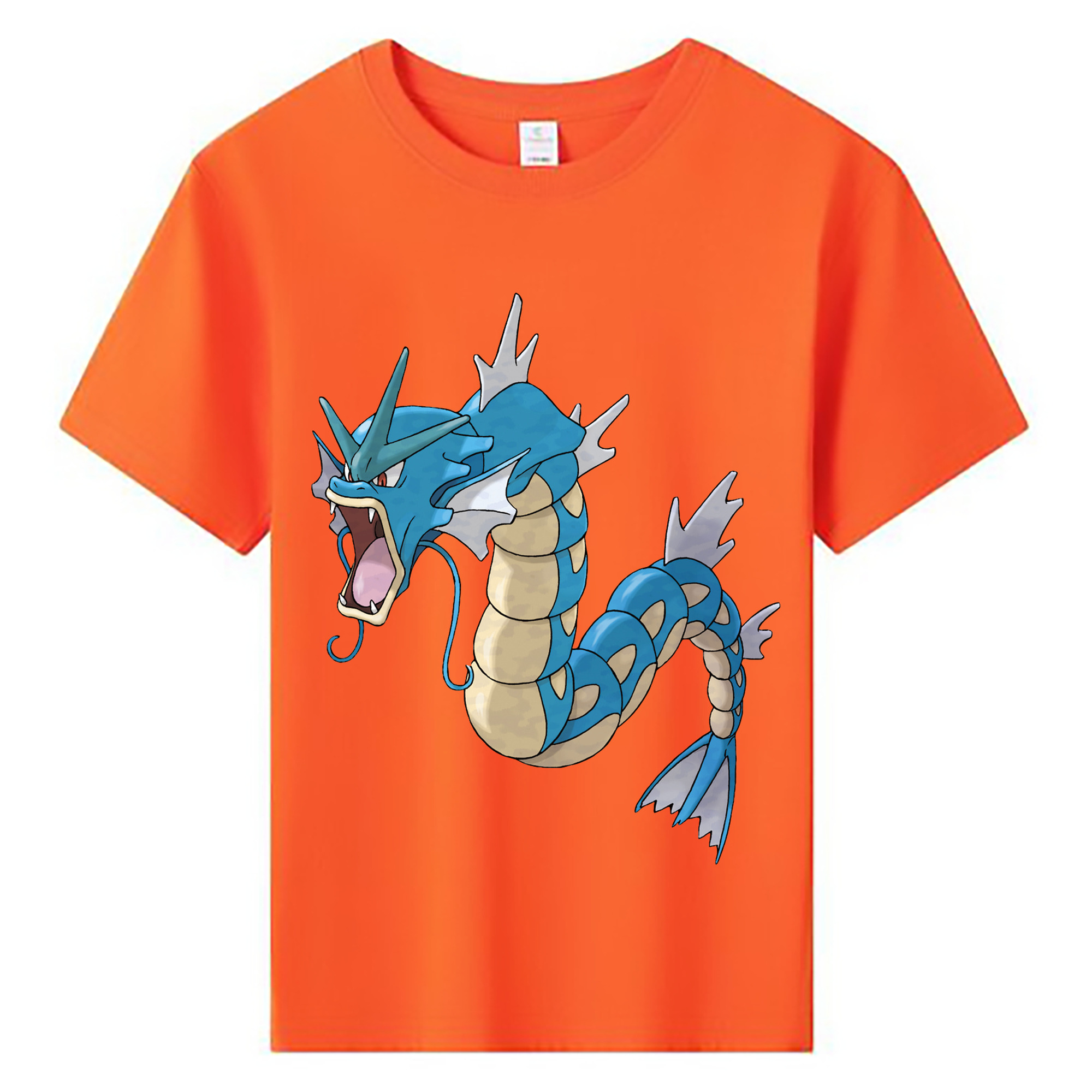 （画像用） ポケットモンスター Pokémon 綿100％キッズTシャツ（フロントプリント）