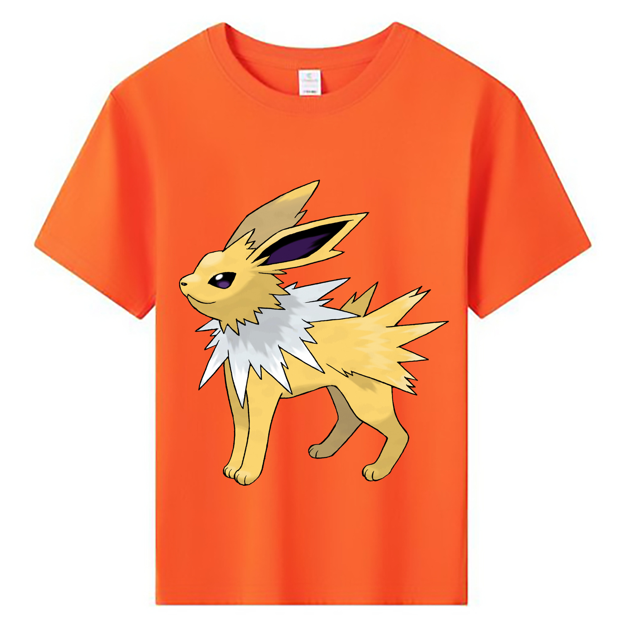 （画像用） ポケットモンスター Pokémon 綿100％キッズTシャツ（フロントプリント）