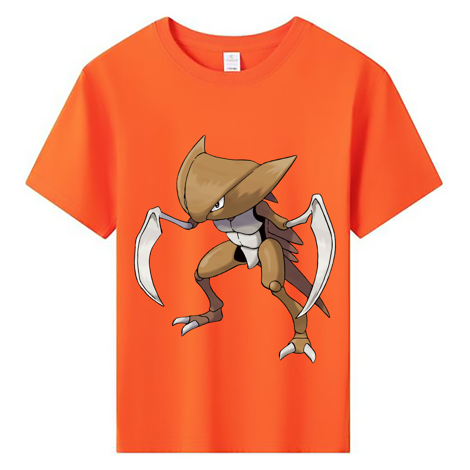 （画像用） ポケットモンスター Pokémon 綿100％キッズTシャツ（フロントプリント）