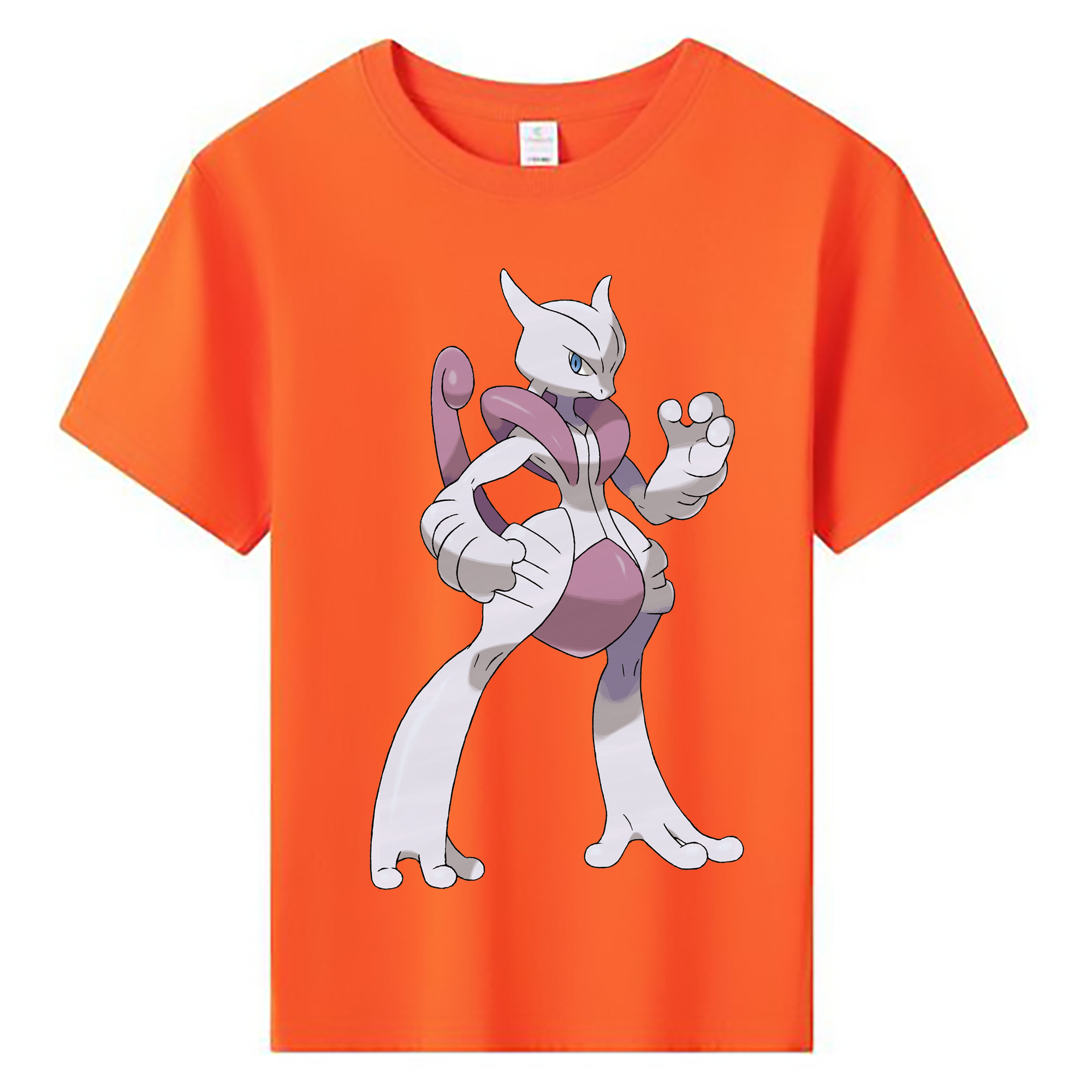 （画像用） ポケットモンスター Pokémon 綿100％キッズTシャツ（フロントプリント）